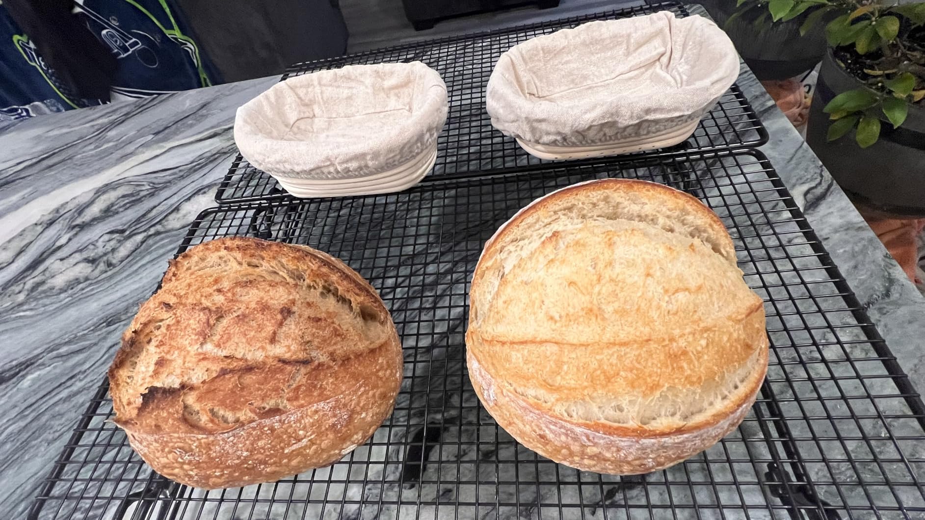 DOYOLLA Bread Proofing Baskets Set of 2 10 inch Oval Shaped Dough Proofing Bowls w/Liners Perfect for Professional & Home Sourdough Bread Baking customer photo 2