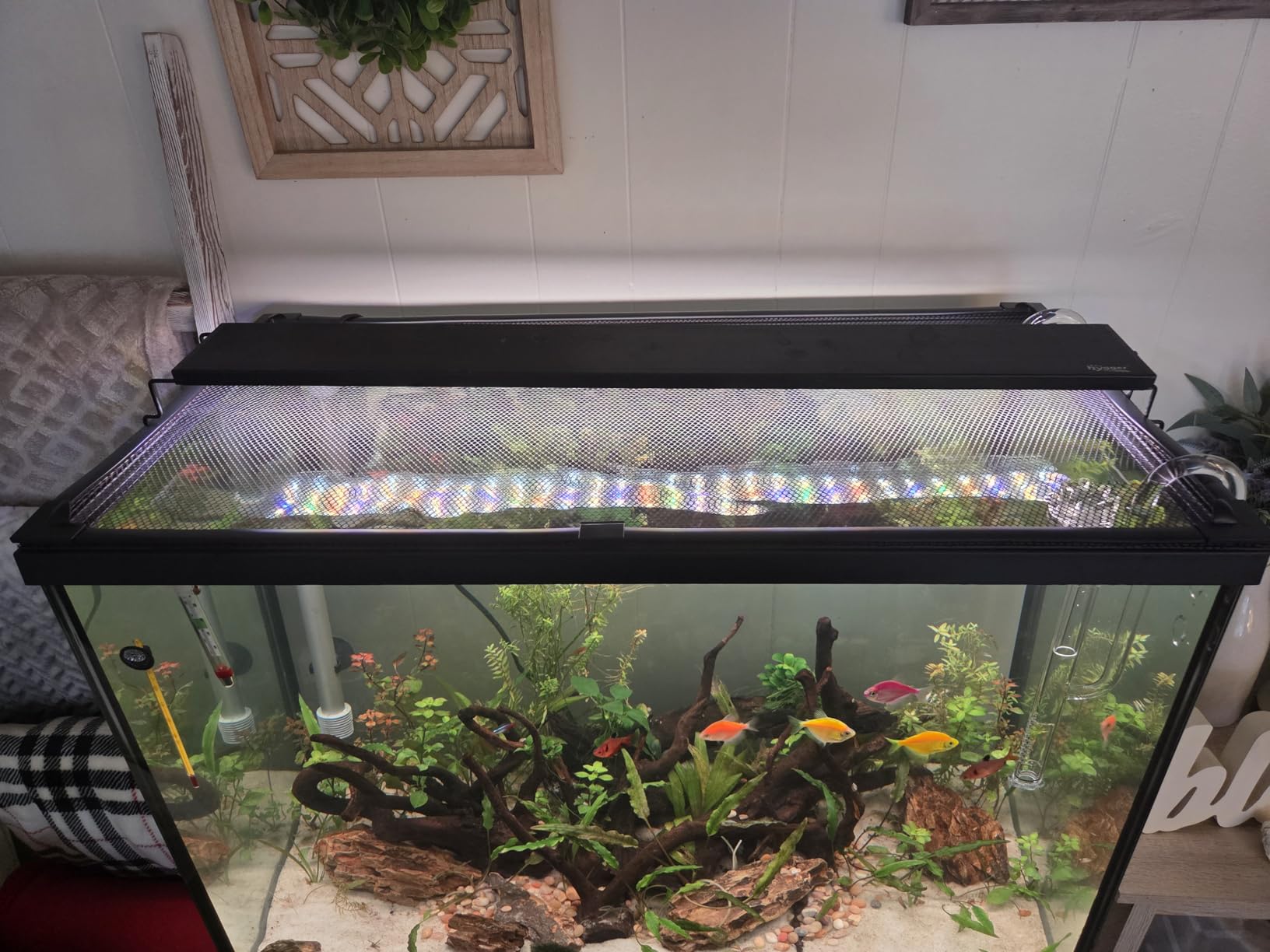 FZONE Aquatic Glass Lily Pipe Inflow with Surface Skimmer for Aquarium Filter 5/8''(16/22mm) Tubing customer photo 1