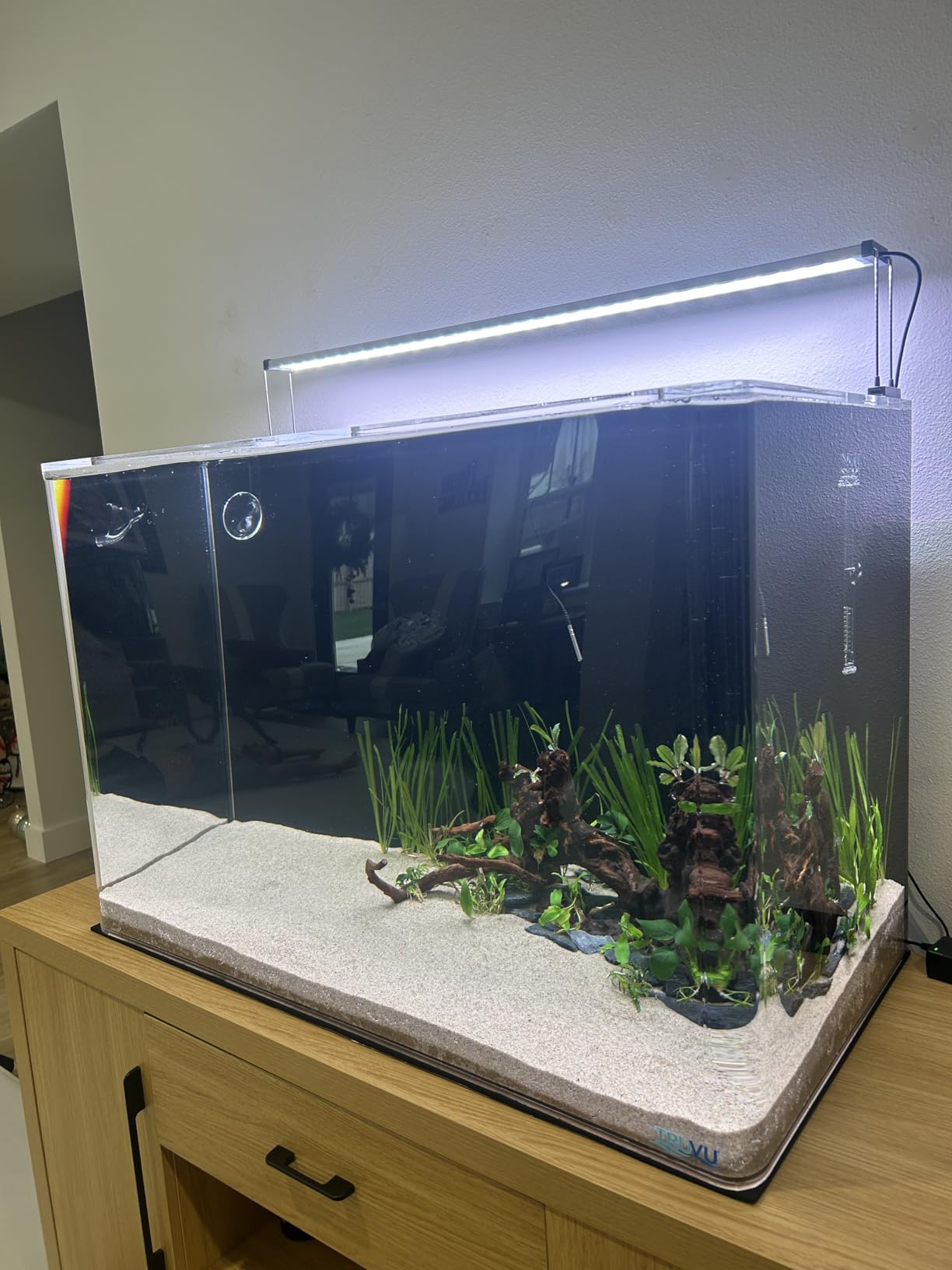 FZONE Aquatic Glass Lily Pipe Inflow with Surface Skimmer for Aquarium Filter 5/8''(16/22mm) Tubing customer photo 2