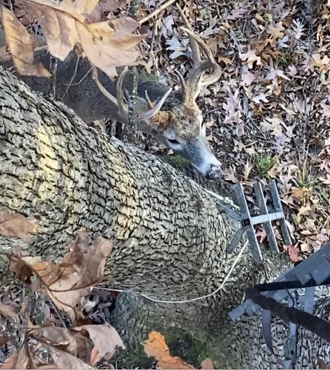 Scent Thief The Hunter's and Trophy Pack - Premium Hunting Gear and Accessories customer photo 1
