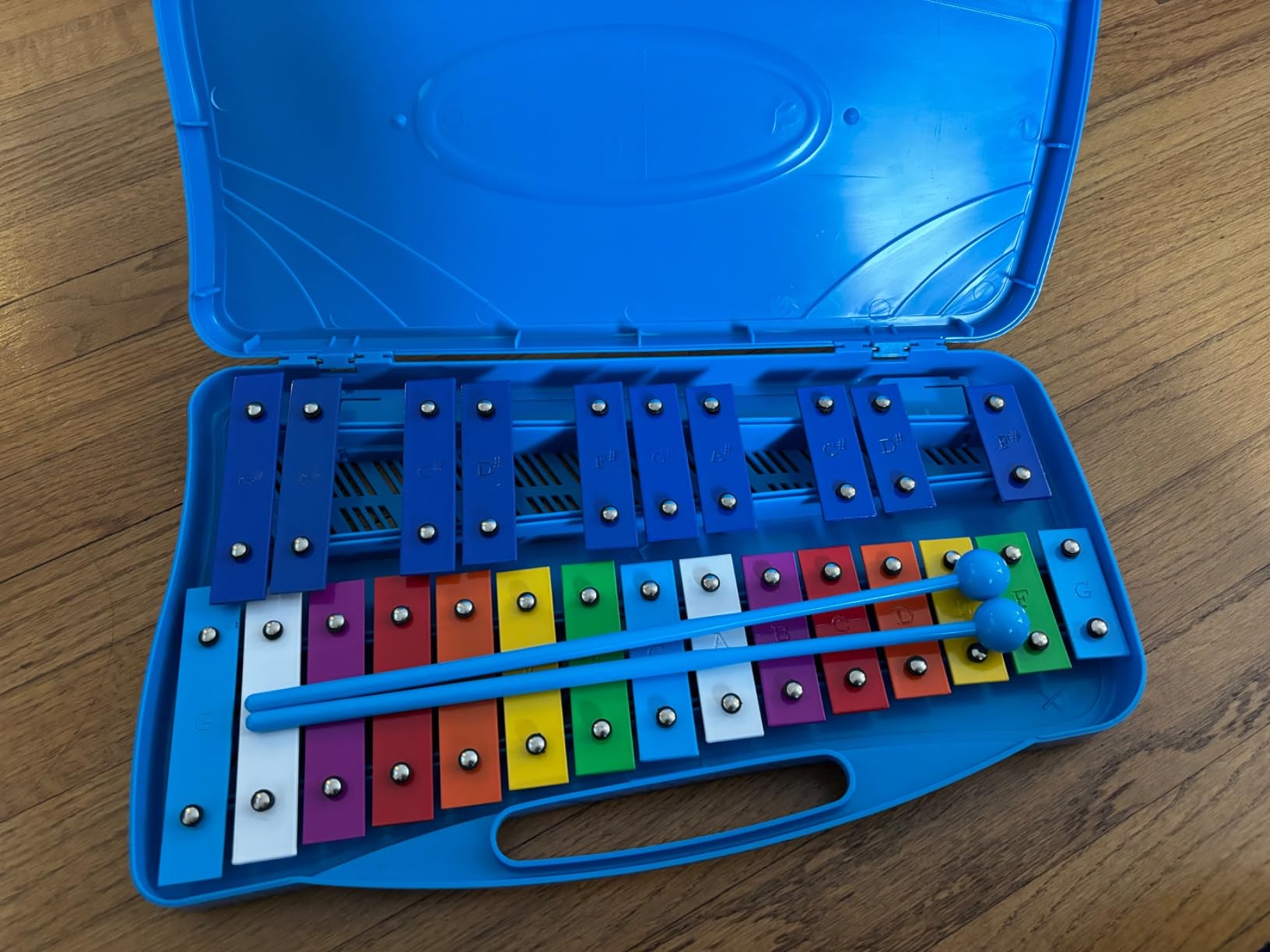ENNBOM 25 Notes Vibraphone Xylophone Glockenspiel Black Blue Percussion Instrument with Case (Blue Case- Blue) customer photo 2
