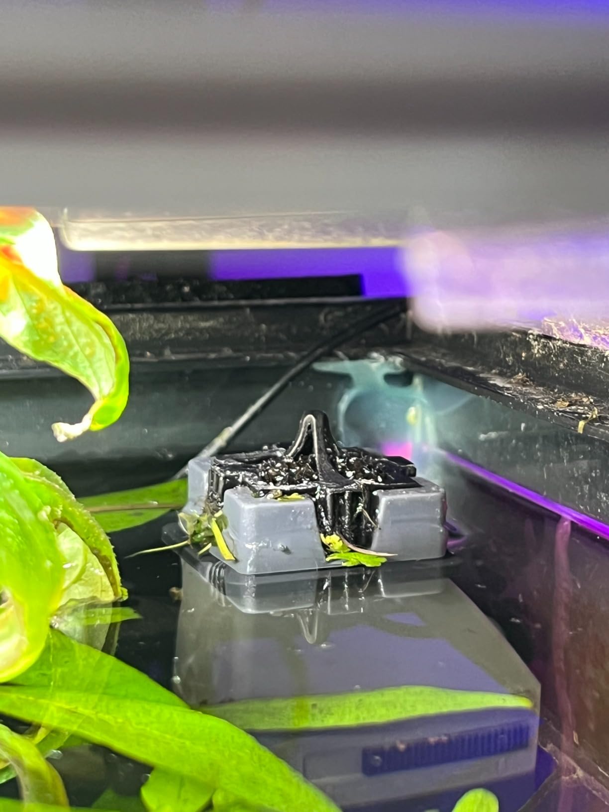 AQUANEAT Aquarium Surface Skimmer, Protein Skimmer, Internal Filter, 80GPH customer photo 1