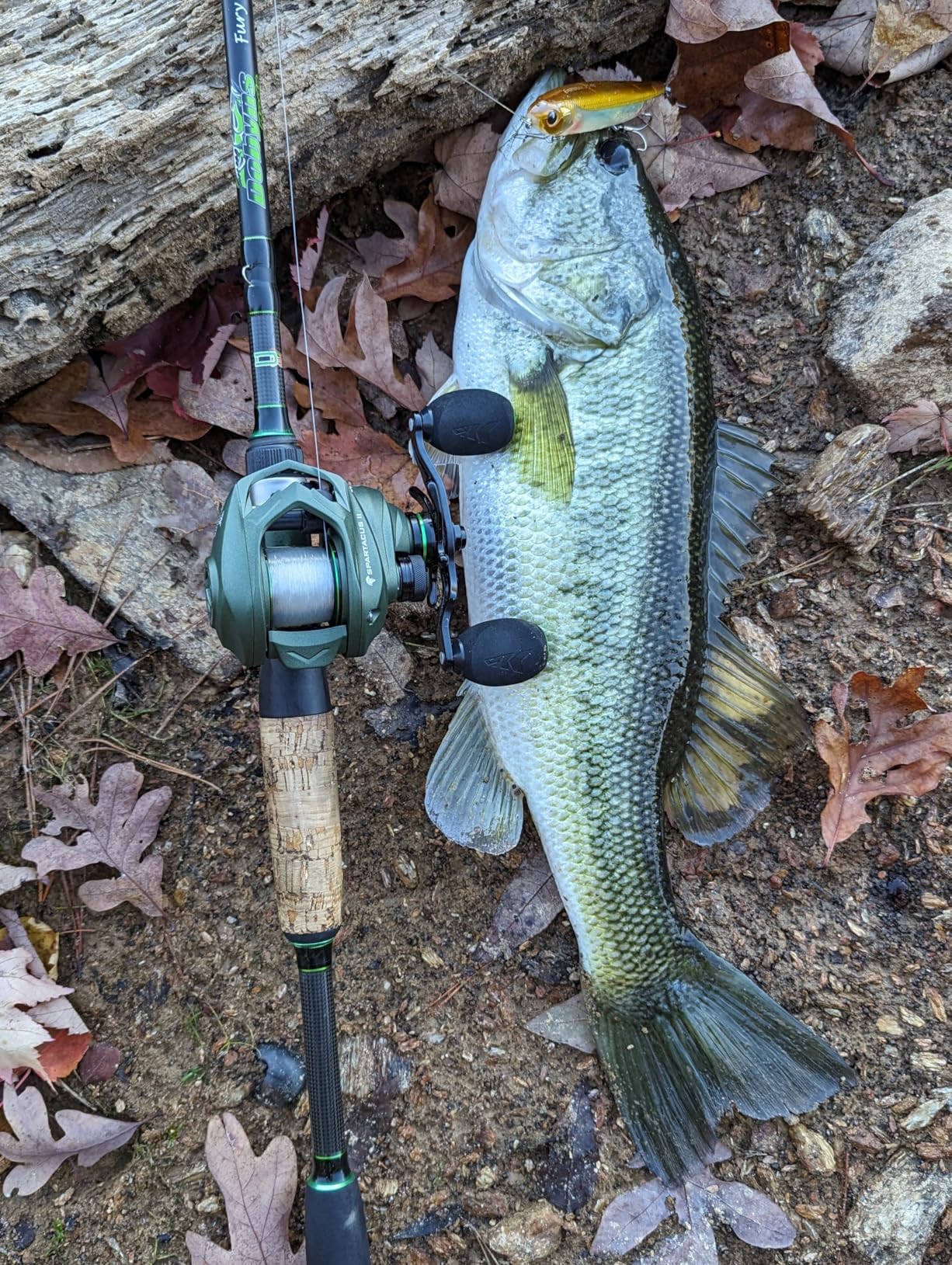 KastKing Spartacus II Baitcasting Fishing Reel, 6oz Ultralight Baitcaster Reel customer photo 2