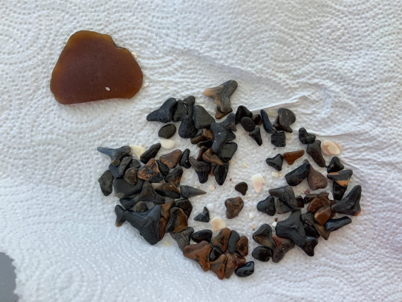 Sand Dipper - Shark Tooth Sifter and Beach Sand Sifter - Adjustable Shelling Tools for Beach for Adults - Limited Edition Wood Pattern Sand Scoop for Beach Combing customer photo 2