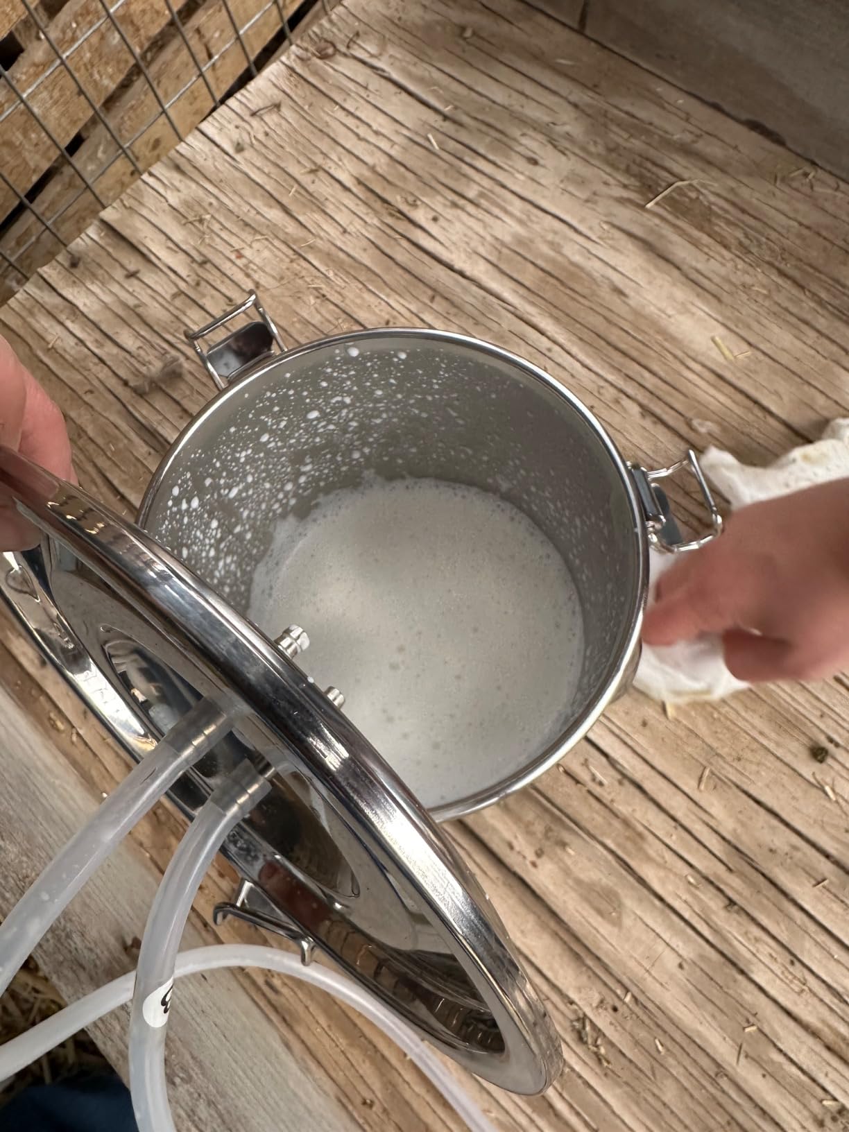 2026 Upgrade 3L Goat Milking Machine, Continuously Adjustable Suction Pulsation Vacuum Electric Milker, Portable Livstock Milking Machine with Stainless Bucket (US Plug) customer photo 1