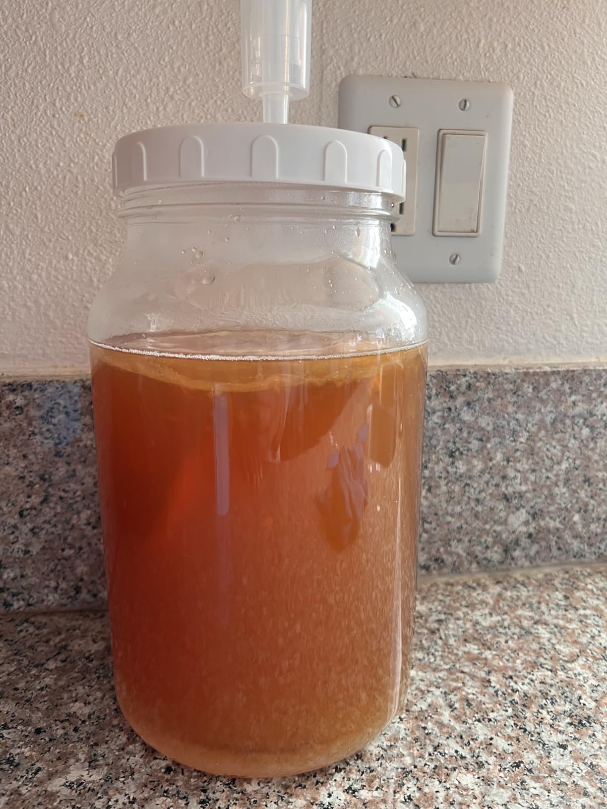 2 Pack 1 Gallon Large Fermentation Jars with 3 Airlocks and 2 Screw Lids customer photo 1