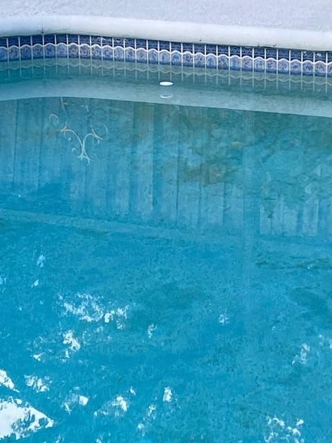 Solar Sanitizer Tube for Swimming Pools & Hot Tubs | BioPhotonX Technology Reduces Chlorine/Bromine Use by 50% for 12 Months | Single Pack for Hot Tubs/Swim Spas Up to 10,000 Gallons customer photo 2