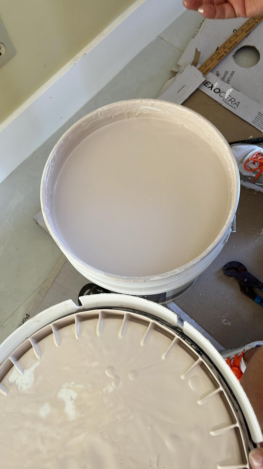 EVOLVE Signature Collection Luxury Interior Paint & Primer, Semi-Gloss Sheen (Sage Green), 1 Gallon - Premium One-Coat Coverage, Low VOC, Low Odor, Washable Finish for Walls, Ceilings & Trim customer photo 2
