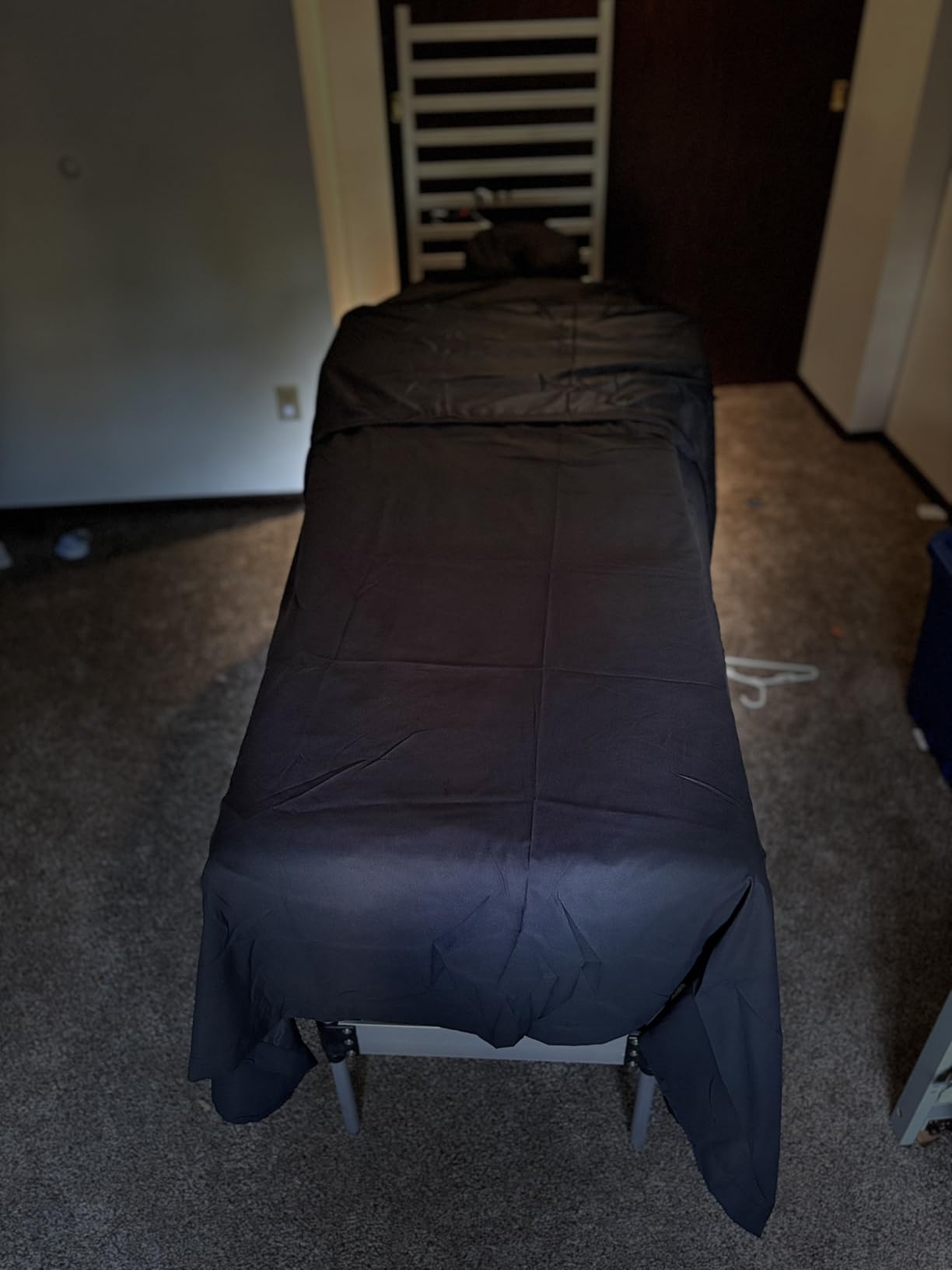 Brelley Massage Table Portable Professional 3 Sections Reclining Massage Couch, Aluminum Adjustable Esthetician Bed Tattoo Table SPA Lash Salon Bed with Carrying Bag (Black) customer photo 2