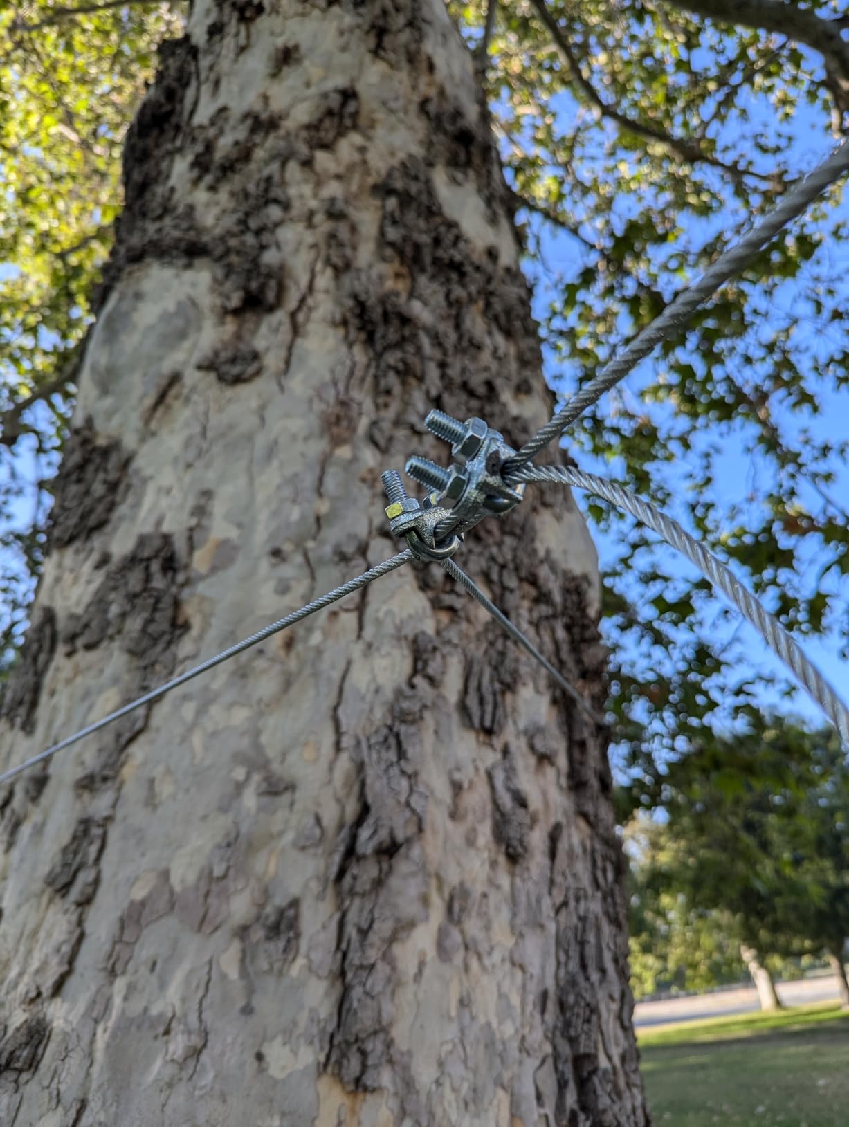 Zip Line Kit for Kids Adults: 100FT/120FT/150FT/200FT Up to 380Lbs - Quick Tighten Zipline for Backyard Outdoor with 100% Rust Proof Removable Trolley Seat Spring Brake customer photo 2