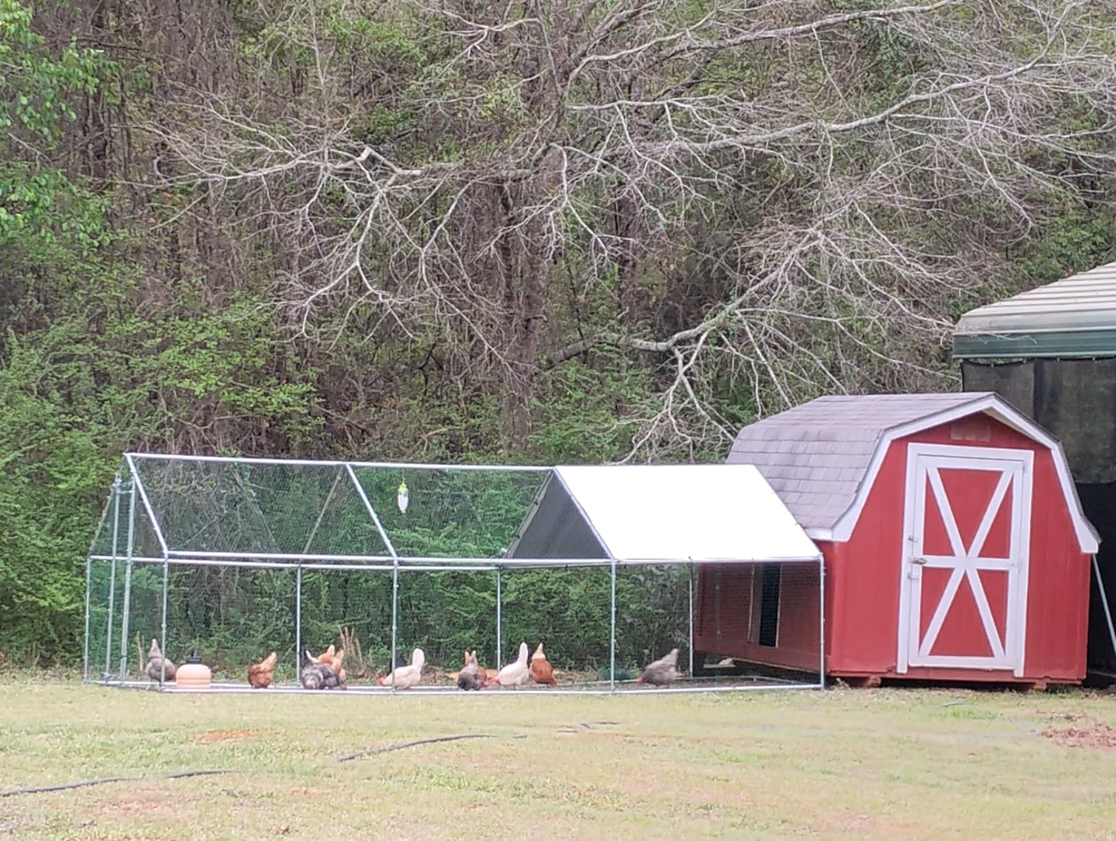 VEVOR Large Metal Chicken Coop, 19.7x9.8x6.5ft Walk-in Chicken Runs for Yard with Cover, Spire Roof Hen House with Security Lock for Outdoor and Backyard, Farm, Duck Rabbit Cage Poultry Pen customer photo 1