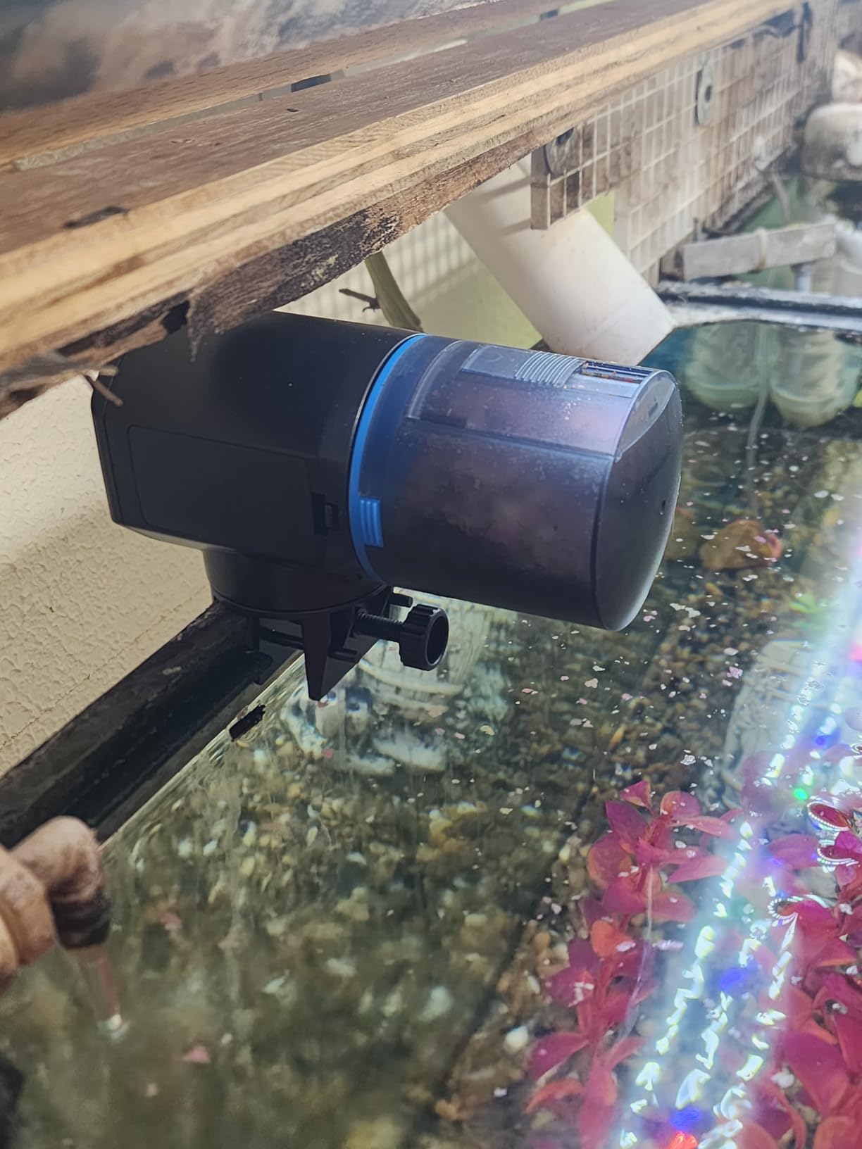 FISHNOSH Automatic Fish Feeder for Aquarium with Digital Thermometer - 2026 Auto Fish Food Dispenser Programmable, Vacation Feeder for Fish, Adjustable Portions customer photo 1