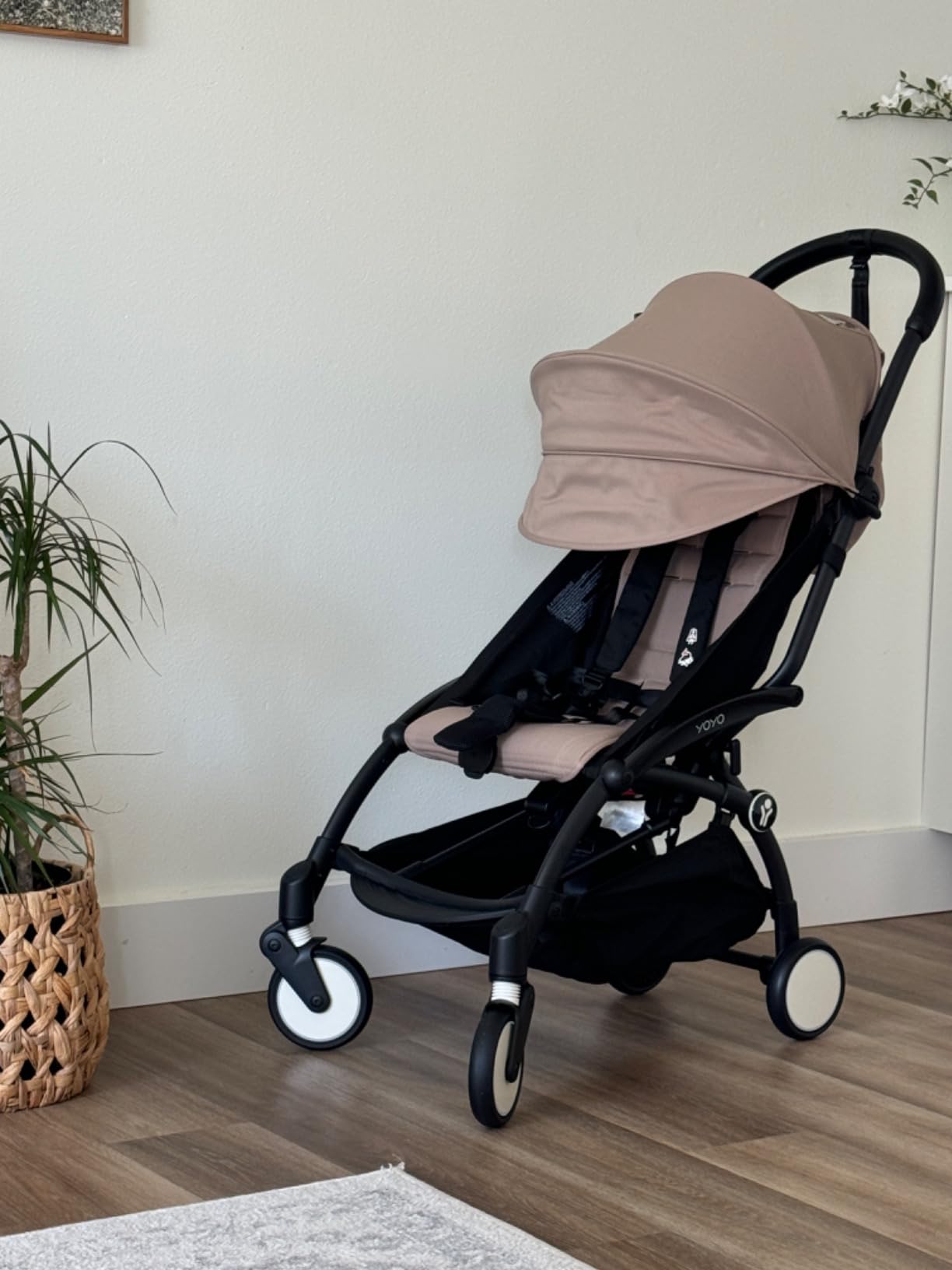 YOYO3 Stroller from 6 Months - Includes Black Frame, Seat Cushion & Canopy - Folds in & Out in a Flash - Light & Compact - Carry-On Compatible customer photo 2