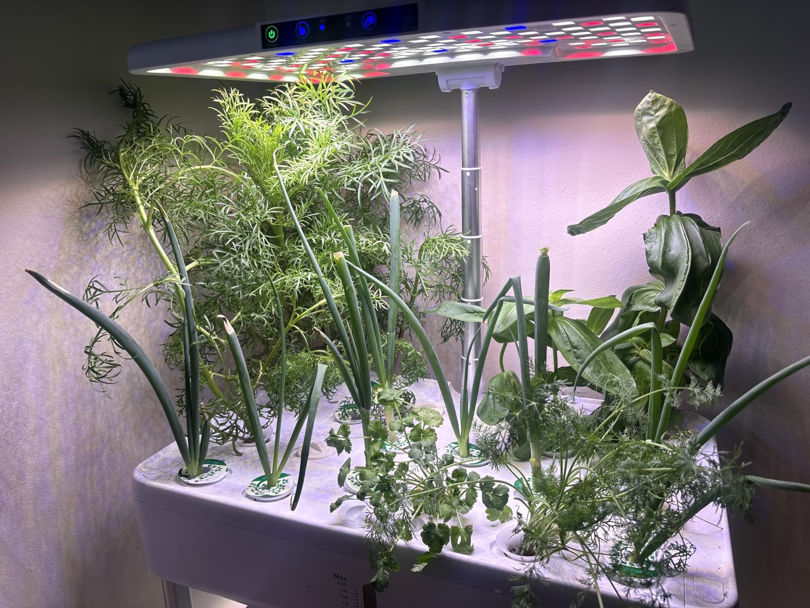 Ahopegarden Hydroponics Growing System Indoor Garden, 44 Pods Plant Herb Garden Germination Kit with LED Grow Light, 20L Double-Layer Large Capacity Hydrophonic Planter Grower for Vegetable Fruit customer photo 2