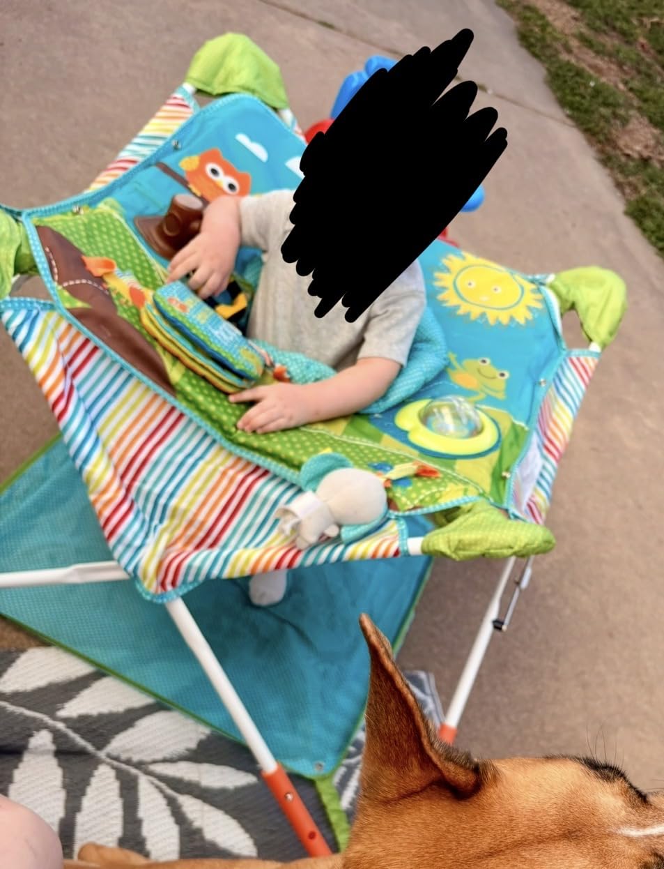 Bright Starts Pop 'N Jump Portable Baby Jumper, Foldable Indoor/Outdoor Baby Jumper with Owl Forest Sensory Activities, Ages 6-12 Months customer photo 2