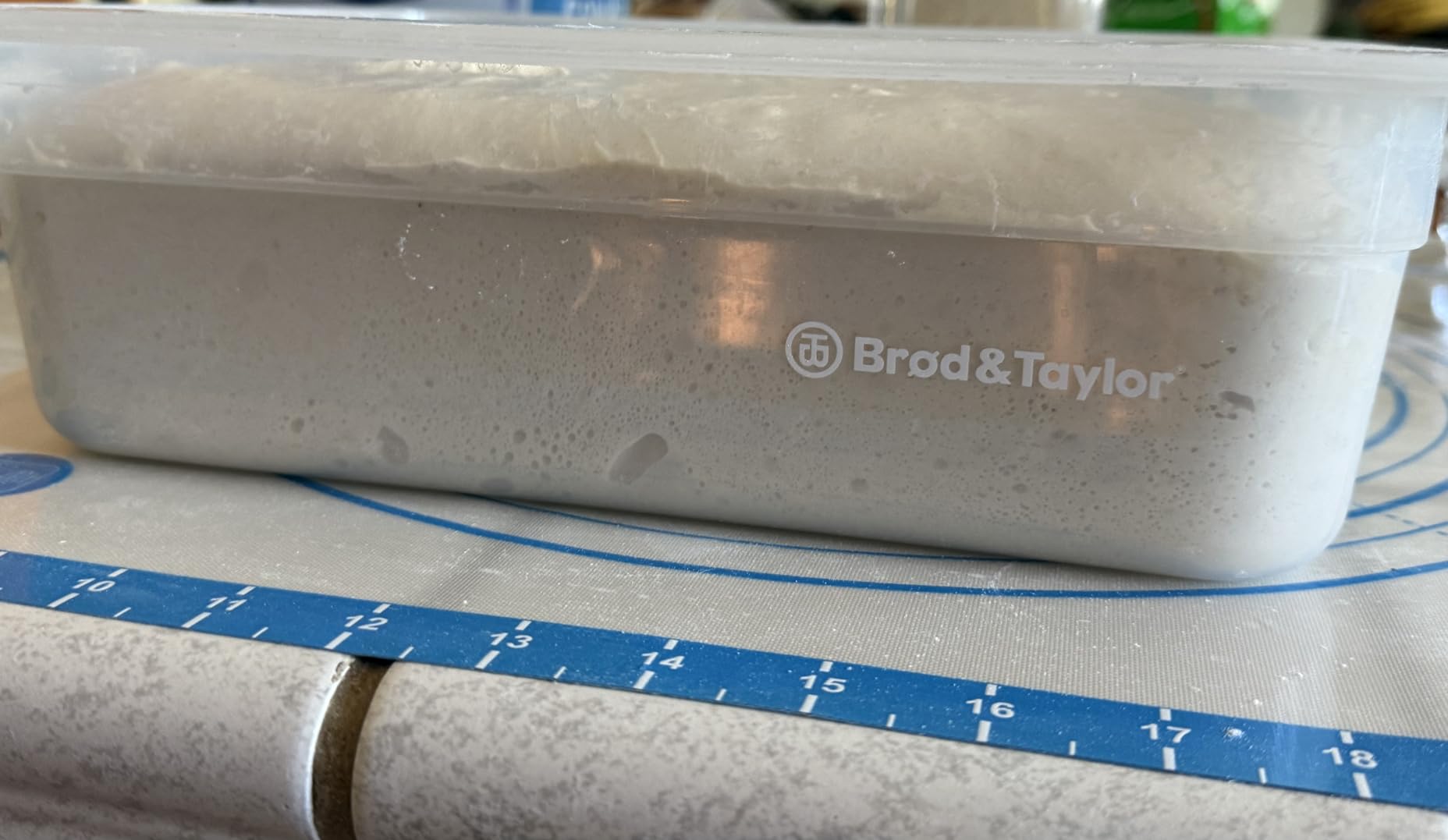 Brod & Taylor Proofing Container, 6L Capacity - Dough Rising Box customer photo 2