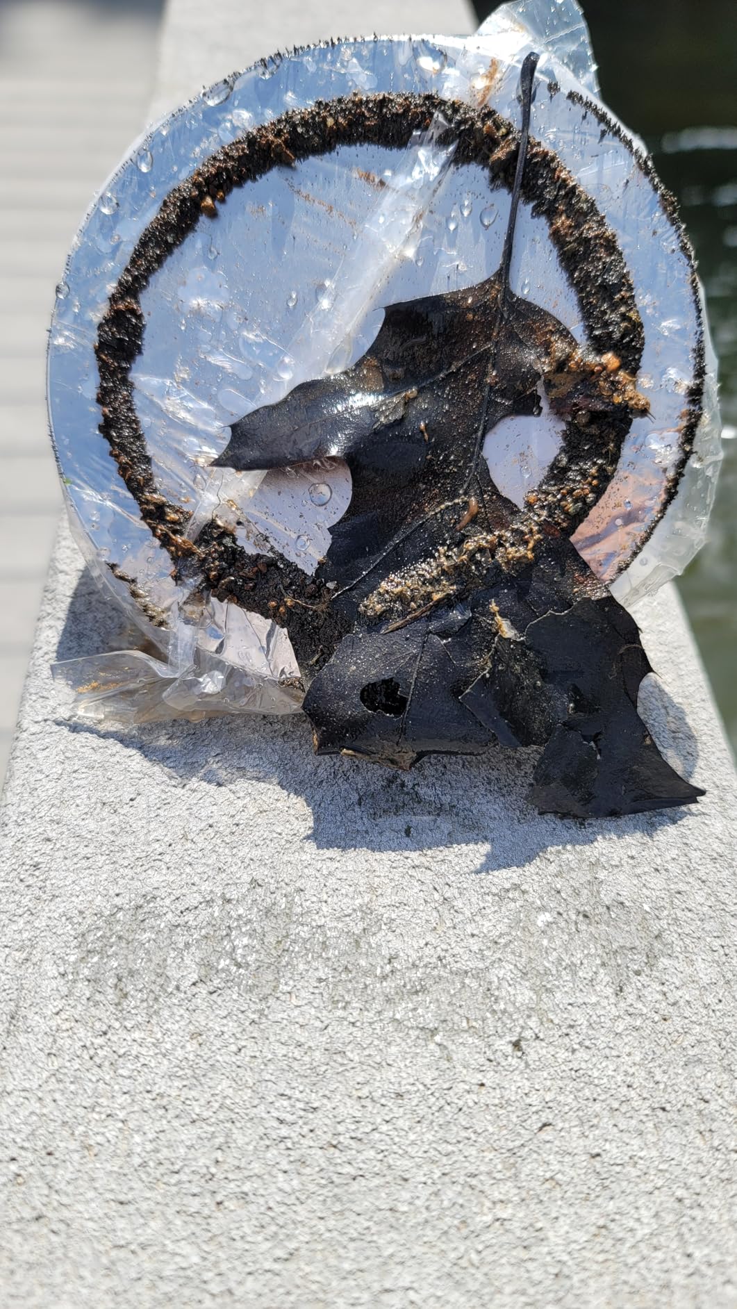 Magnetpro Fishing Magnet, Over 1700 Lbs Pulling Force Strong Neodymium Magnet Heavy Duty, Rare Earth Magnets with Eyebolt, Diameter 4.72 inches for Magnetic Fishing, Hunting, Retrieving in River customer photo 2