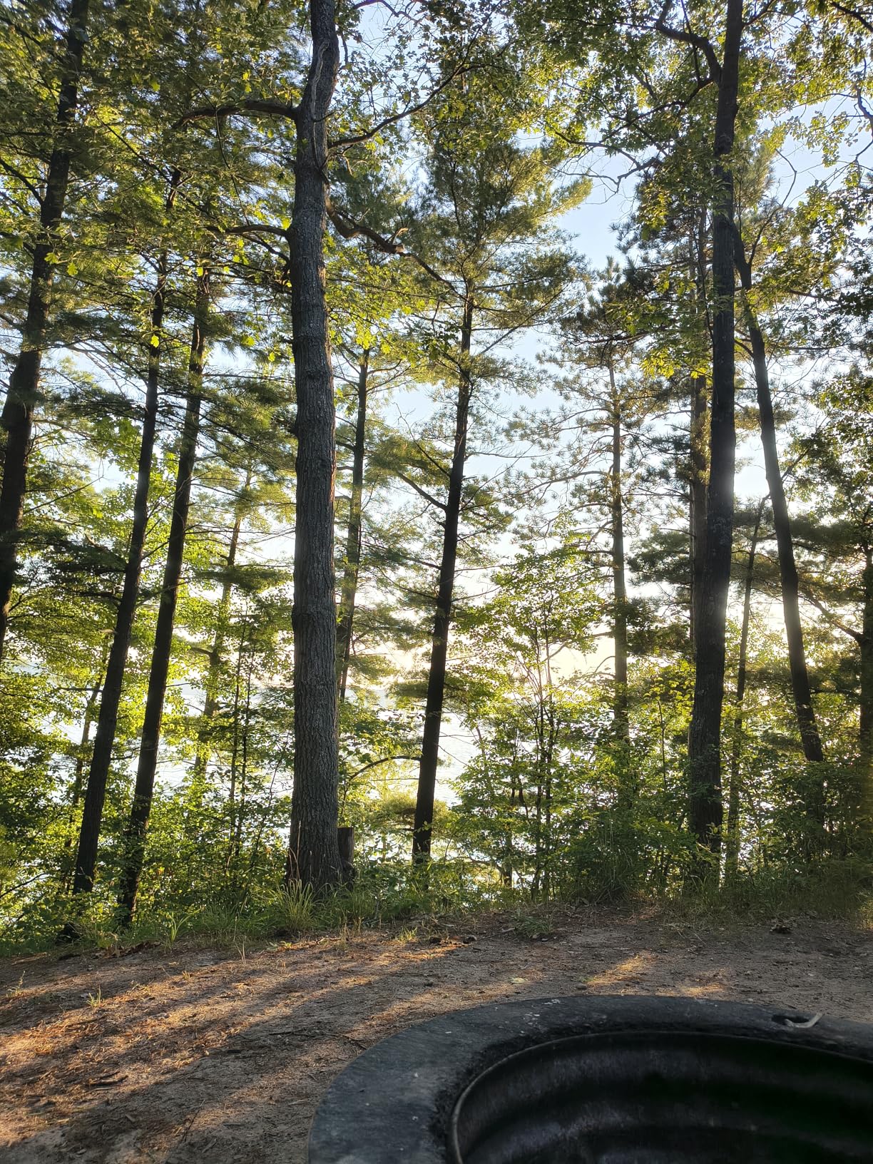 Motorola Edge 2025 | Unlocked | Made for US 8/256GB | 50MP Camera | Pantone Deep Forest customer photo 1