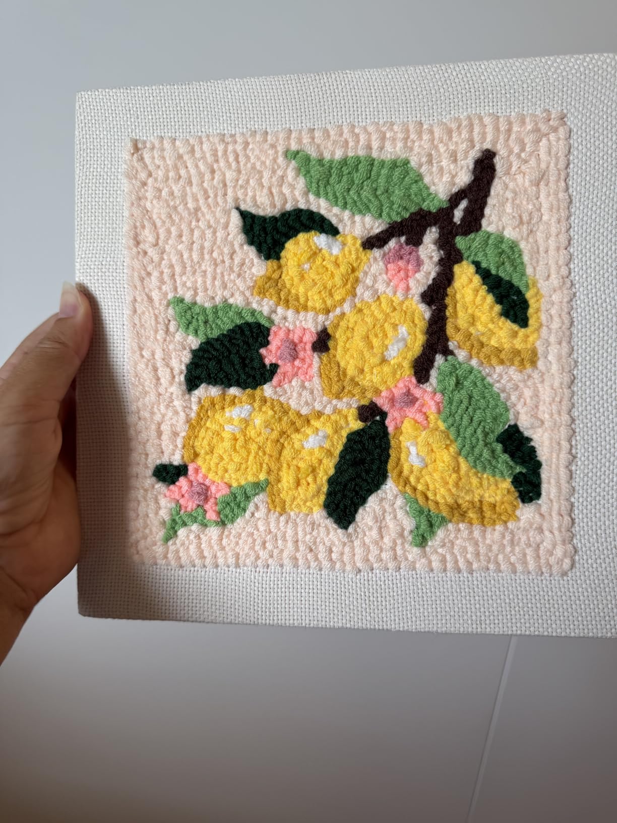 INFUNLY Lemon Flower Punch Needle Embroidery Kits Lemon Branch DIY Punch Needle Kit for Beginners Plant Stamped Rug Yarn Hooking Kit with Pre-Printed Pattern Instruction for Craft Lovers Home Decor customer photo 1