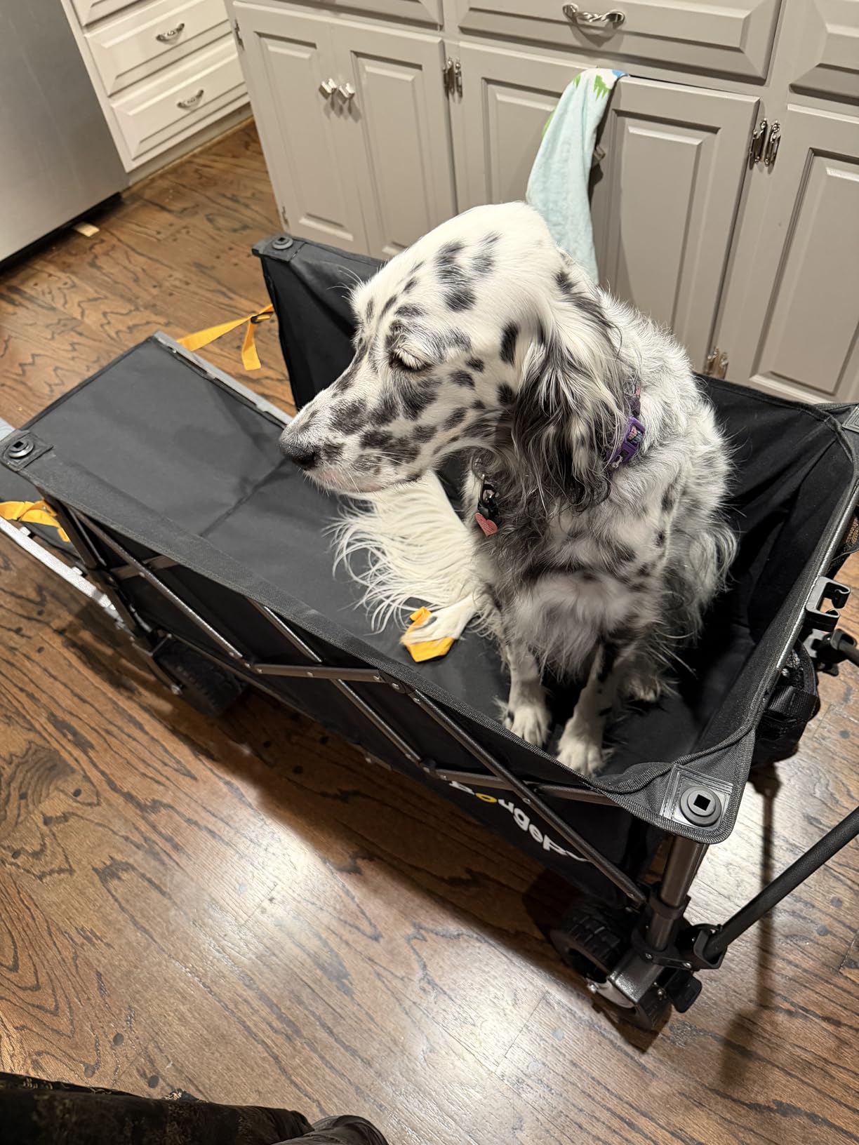 BougeRV Electric Utility Wagon w/ 133Wh Battery, 440 lbs Static Load Capacity Collapsible Garden Cart, Outdoor Motor-Driven Foldable Wagon, Ideal for Camping, Gardening (Battery Charger NOT Included) customer photo 1