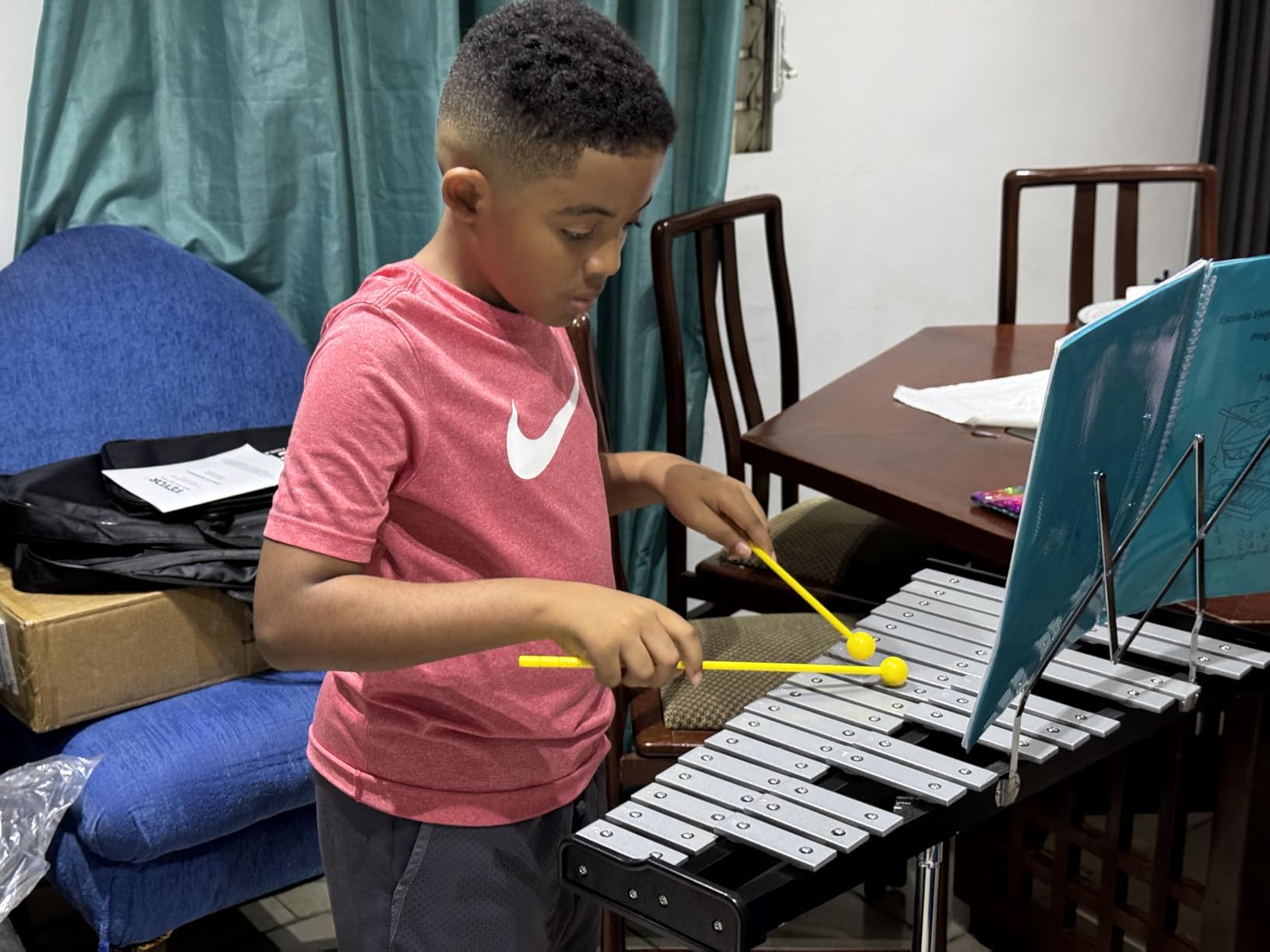 VEVOR Glockenspiel Xylophone, 37 Notes, Wooden Professional Xylophone Percussion Instrument, with Height Adjustable Stand, 4 Mallets, Carrying Bag customer photo 1