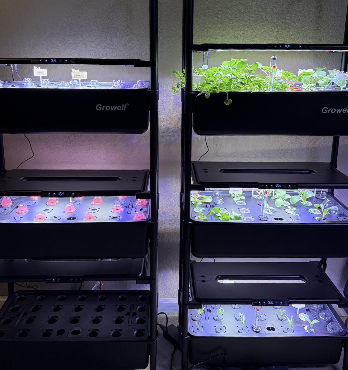 Growell Large Hydroponics Growing System Kit, 90 Pods Vertical Indoor Herb Garden Kit with 2 Light Modes & Auto Circulating Water System, 40L Movable Indoor Gardening System for Herb Vegetable Fruit customer photo 1