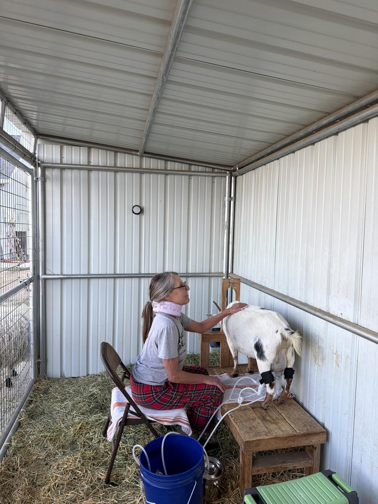 3L Goat Milking Machine, 13200mAh Battery Rechargeable & Portable Milker, 304 Food Grade Bucket with Automatical Vacuum Pulsation for Goats customer photo 1