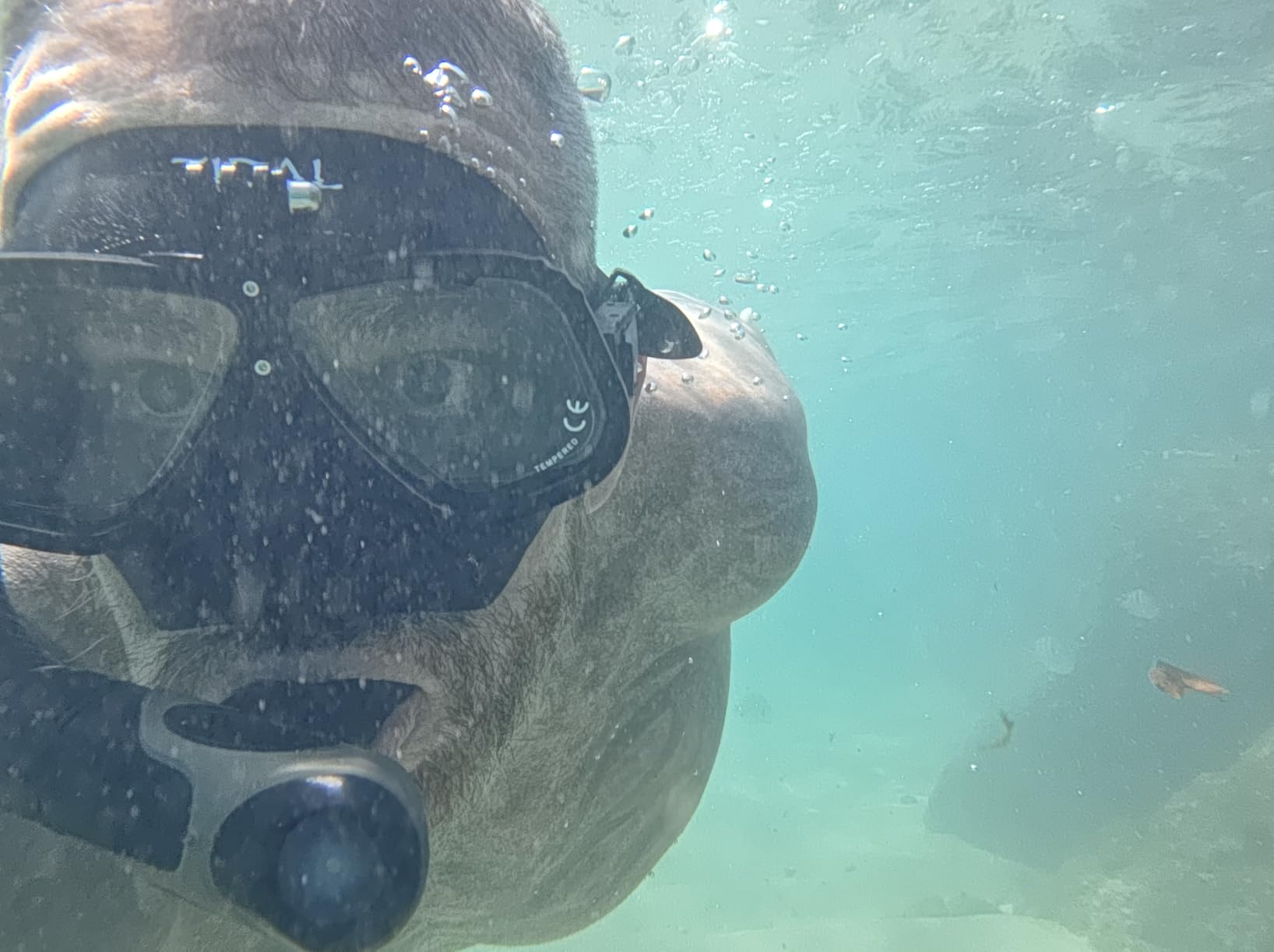 Tidal APEX Freedive Mask with Action Camera Mount - Low Volume Designed for Freediving, Spearfishing, Scuba Diving, and Snorkeling customer photo 1