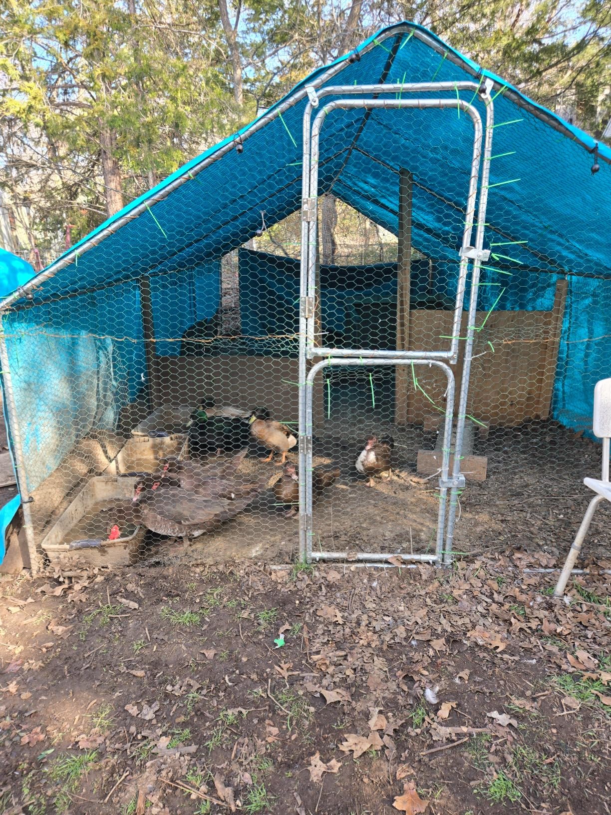 UDPATIO Large Metal Chicken Coop Walk in - Heavy Duty Outdoor Poultry Run with Protective Cover for 25-35 Chickens, Ducks, or Rabbits | Predator-Proof & Weather-Resistant customer photo 2