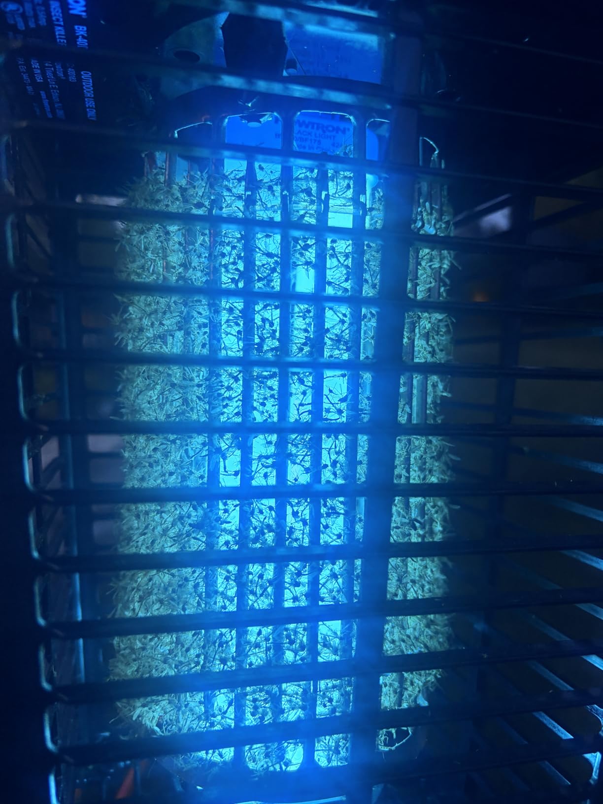 Flowtron Bug Zapper, 1 Acre of Outdoor Coverage with Powerful 40W Bulb & 5600V Instant Killing Grid, Electric Insect, Fly & Mosquito Zapper, Made in The USA customer photo 2