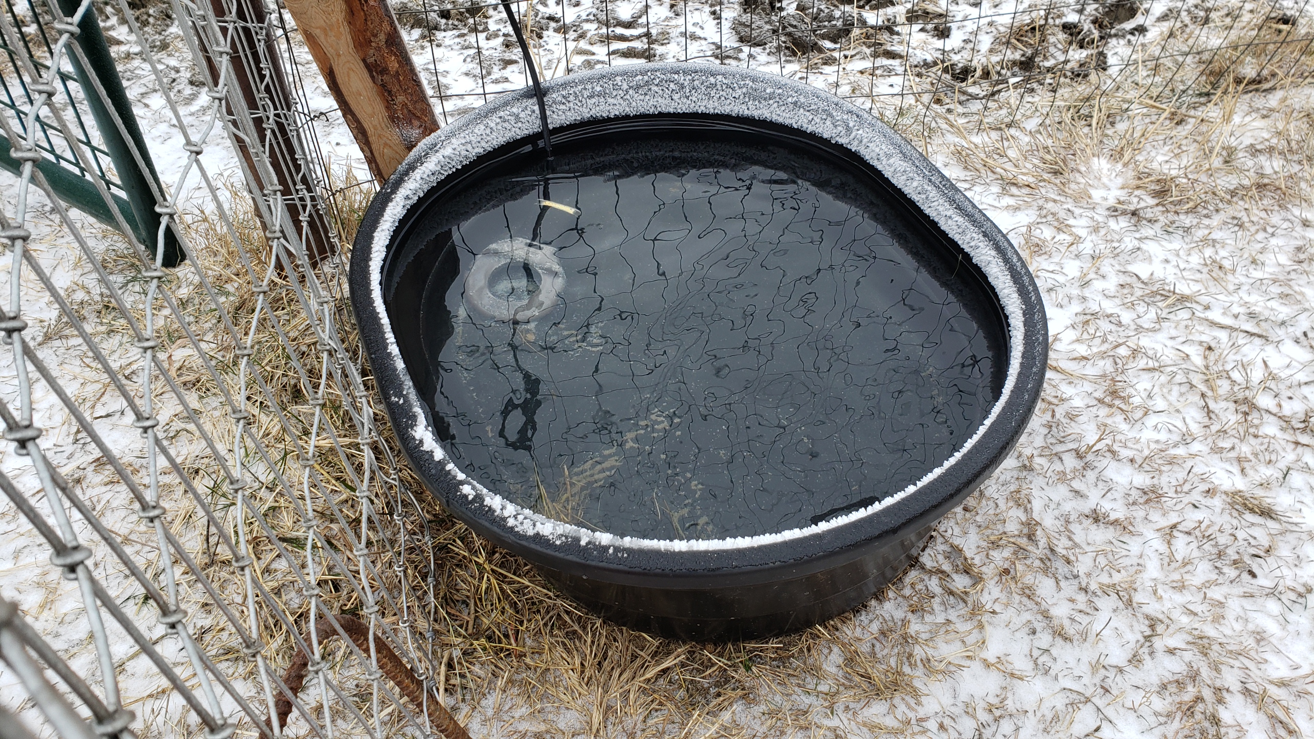 Farm Innovators C-500 Submergible Cast Aluminum Utility Water De-Icer, Powered at 500 Watts with 50 Gallon Capacity for Versatile Farm Use customer photo 2