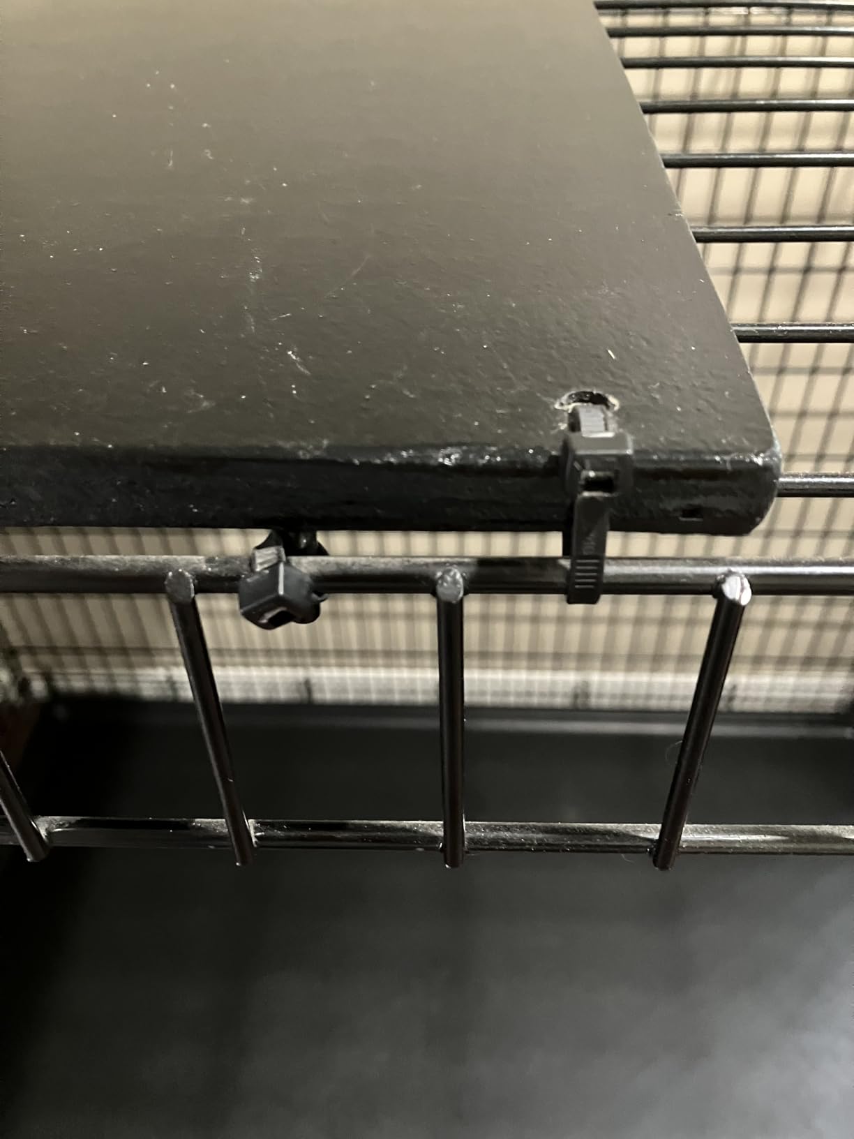 MidWest Homes for Pets 42-Inch iCrate for Large Breeds, 71-90 lbs, Double Door Folding Dog Crate with Divider Panel, Leak-Proof Tray & Secure Latches, Portable, Durable & Easy to Assemble customer photo 1