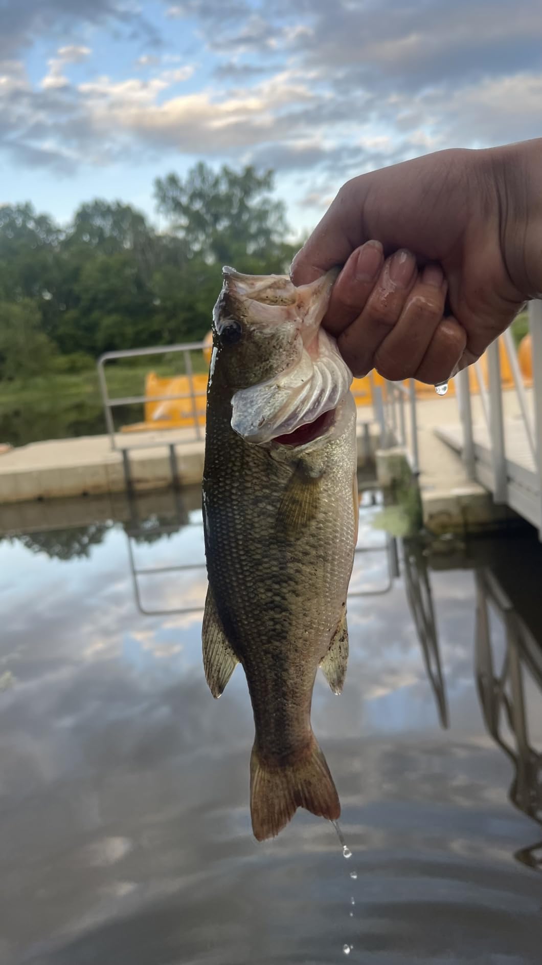 BOOYAH Pond Magic Small-Water Spinner-Bait Bass Fishing Lure customer photo 1