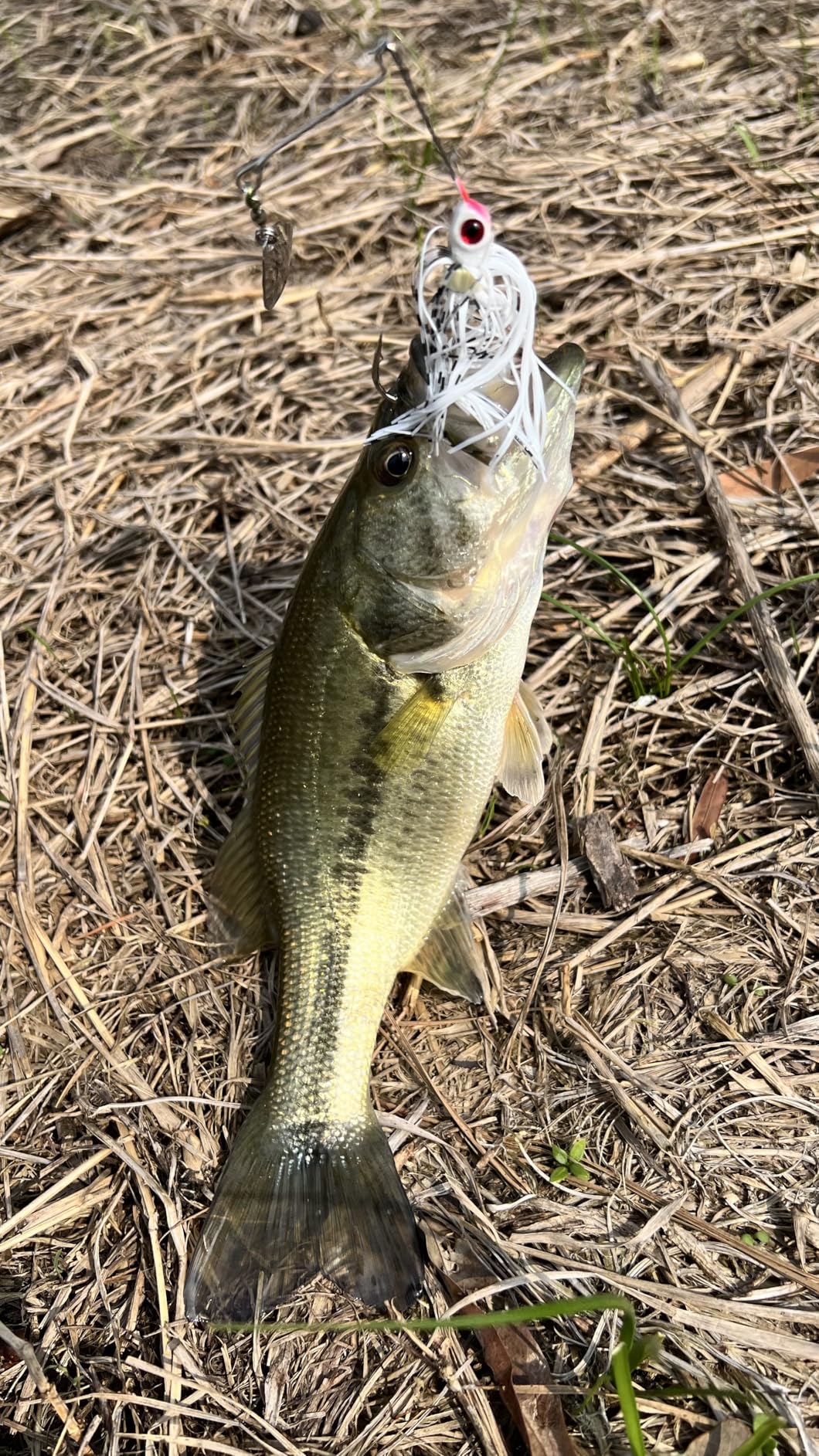 BOOYAH Pond Magic Small-Water Spinner-Bait Bass Fishing Lure customer photo 2