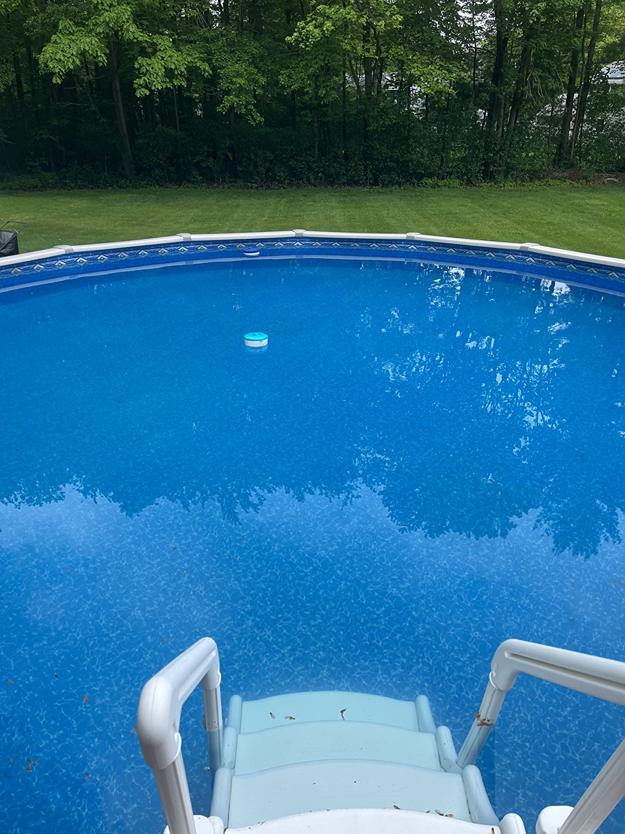Poolmaster Deluxe Weighted Vinyl Liner Pool Vacuum Head With Air-Relief Valves, Safe Cleaning for Inground & Above-Ground Pools customer photo 1