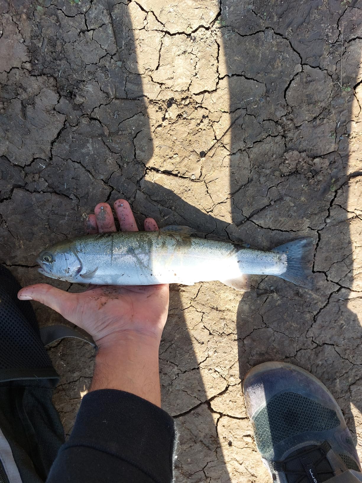 Berkley Trilene XL Monofilament Fishing Line customer photo 2