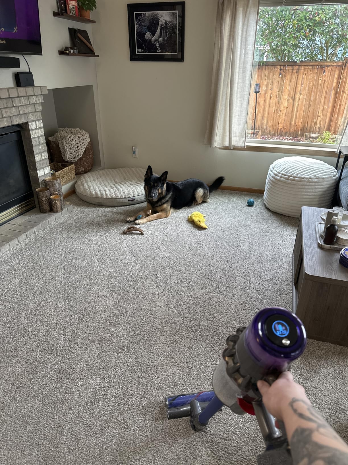 Dyson V11 Origin Cordless Vacuum, 185AW, 3 Power Modes, Up to 60 Minutes customer photo 2