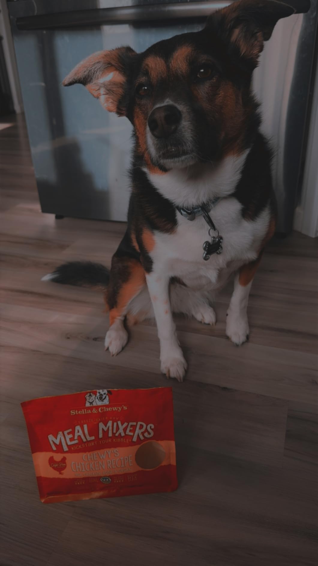 Stella & Chewy's Freeze Dried Raw Chewy's Chicken Meal Mixers - Dog Food Topper, Grain Free, 8 oz Bag customer photo 1