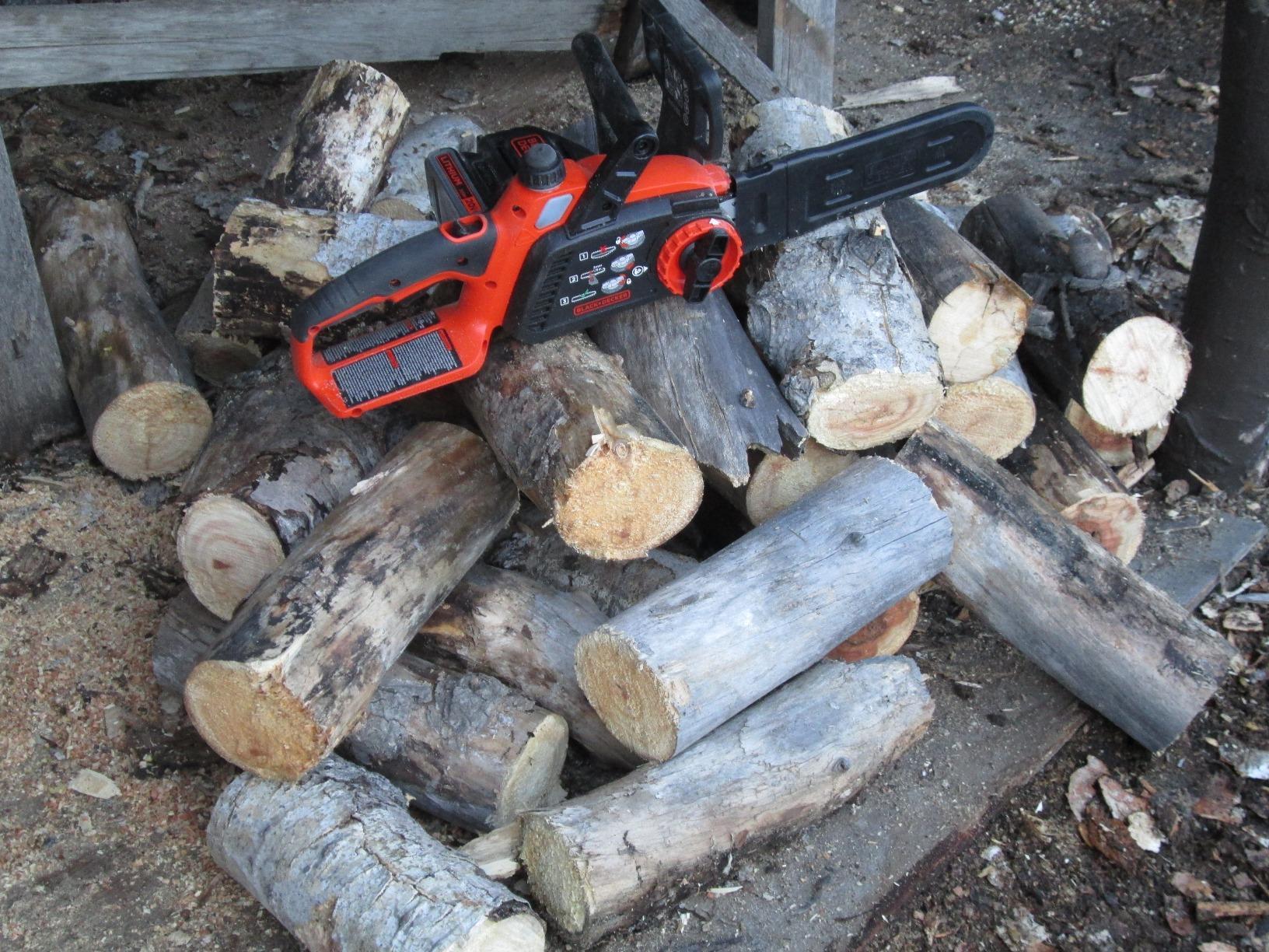 BLACK+DECKER 20V MAX Electric Chainsaw, 10 inch Cordless Chainsaw with Battery and Charger Included (LCS1020) customer photo 1