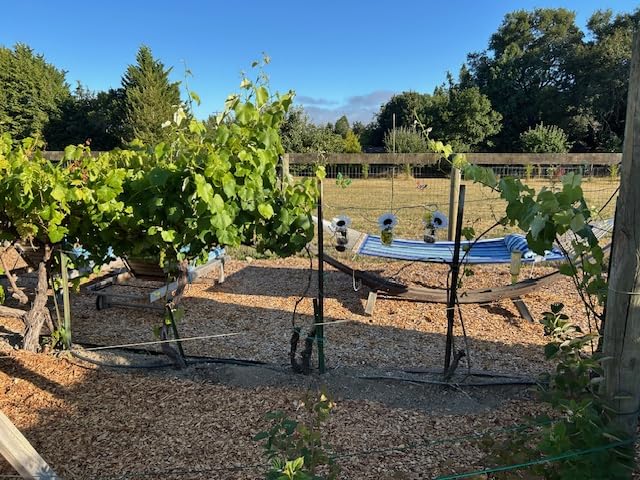 Sunnydaze Quilted Double Hammock for Outside with Spreader Bars and Pillow - 450 lb Capacity, 74x55 Inch Bed, UV Resistant, Quick Dry - Chains Included, Stand Sold Separately - Catalina Beach customer photo 2