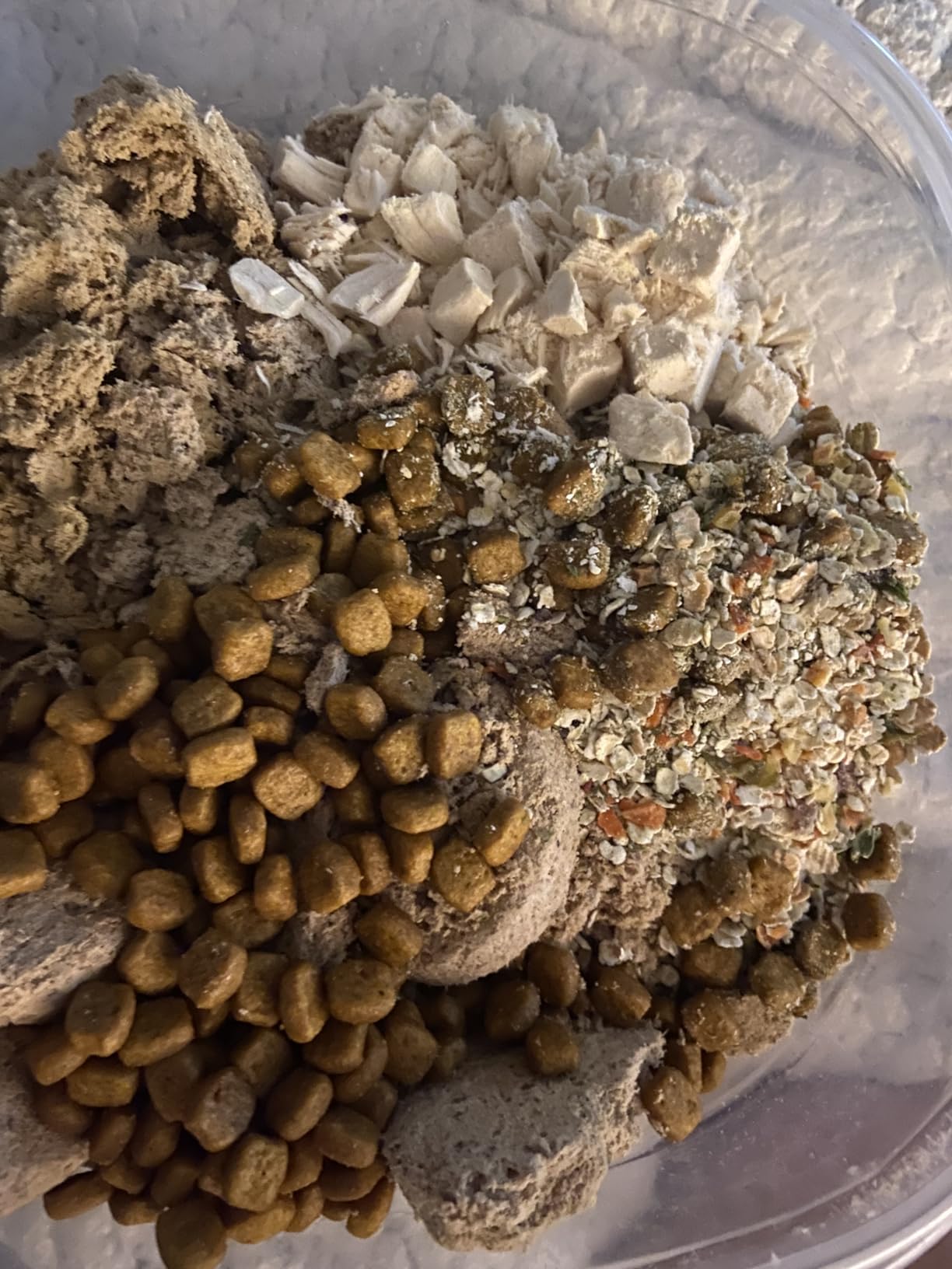 Stella & Chewy's Freeze-Dried Raw Dinner Patties - Chicken Recipe - High Protein Grain-Free Puppy & Dog Food, 25 oz customer photo 2