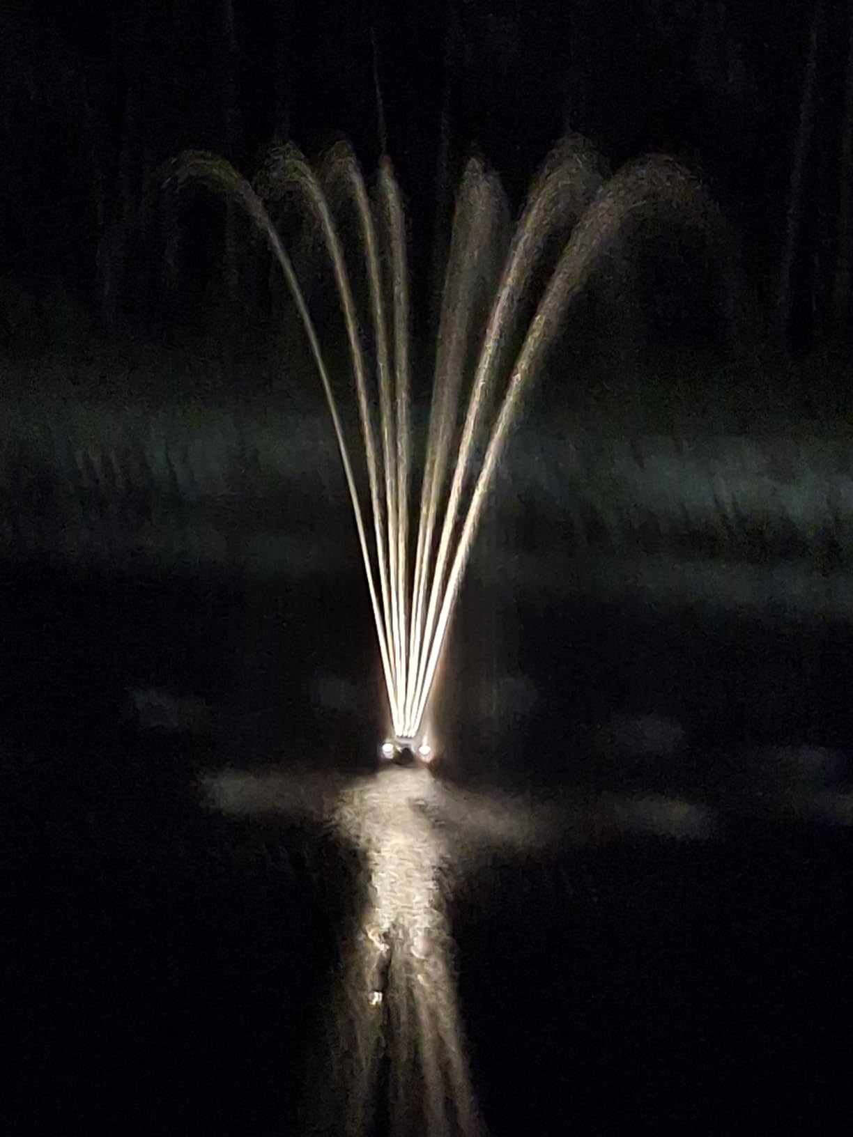 Pond Boss DFTN12003L Floating Fountain With Lights, 50 Foot Power Cord, 1/4 hp customer photo 2