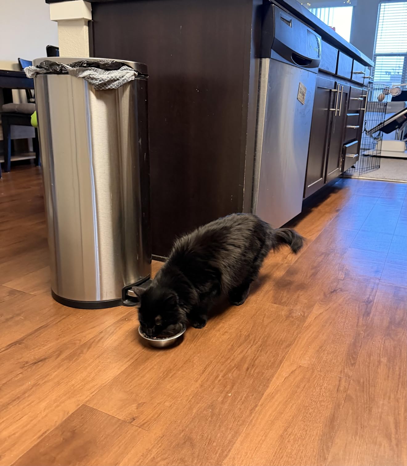 Nutrish Indoor Complete Chicken, Lentils & Salmon Recipe Dry Cat Food, 6 lb. Bag, Packaging May Vary (Rachael Ray) customer photo 1