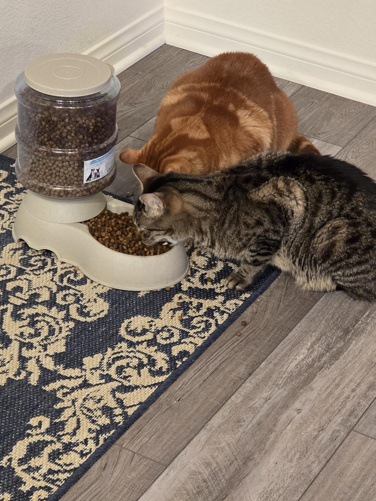 Nutrish Indoor Complete Chicken, Lentils & Salmon Recipe Dry Cat Food, 6 lb. Bag, Packaging May Vary (Rachael Ray) customer photo 2