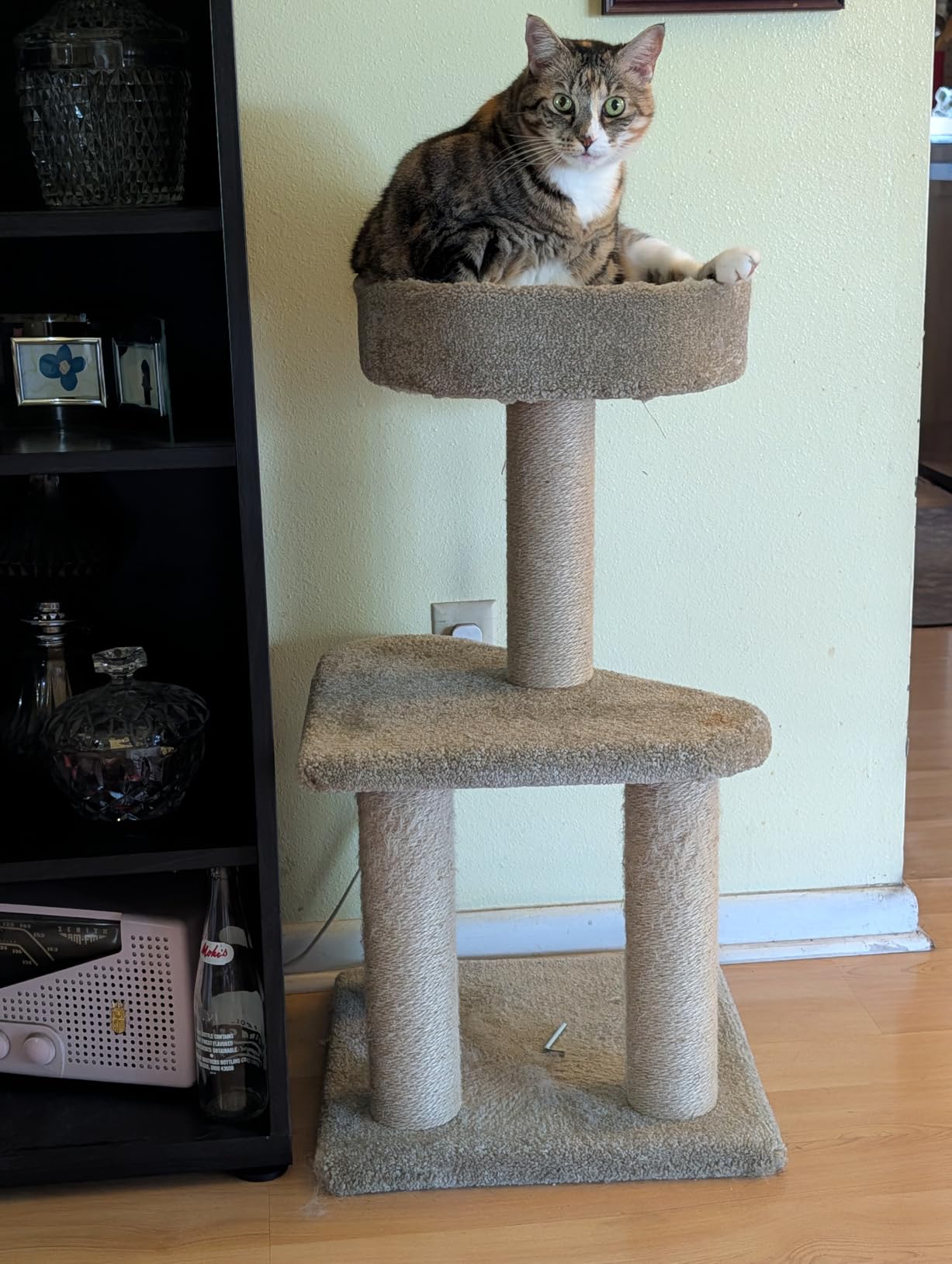 Amazon Basics Cat Tree Tower - Multi-Level Climbing Activity Center for Indoor Cats & Kittens with Scratching Posts, Platform, Jute Rope, Large (45.9