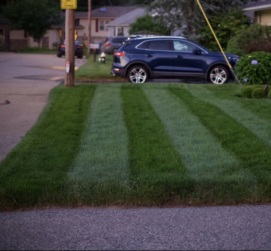 Liquid Soil Loosener- Soil Conditioner-Use alone or when Aerating with Mechanical Aerator or Core Aeration- Simple Lawn Solutions- Any Grass Type-Great for Compact Soils, Standing water, Poor Drainage customer photo 1