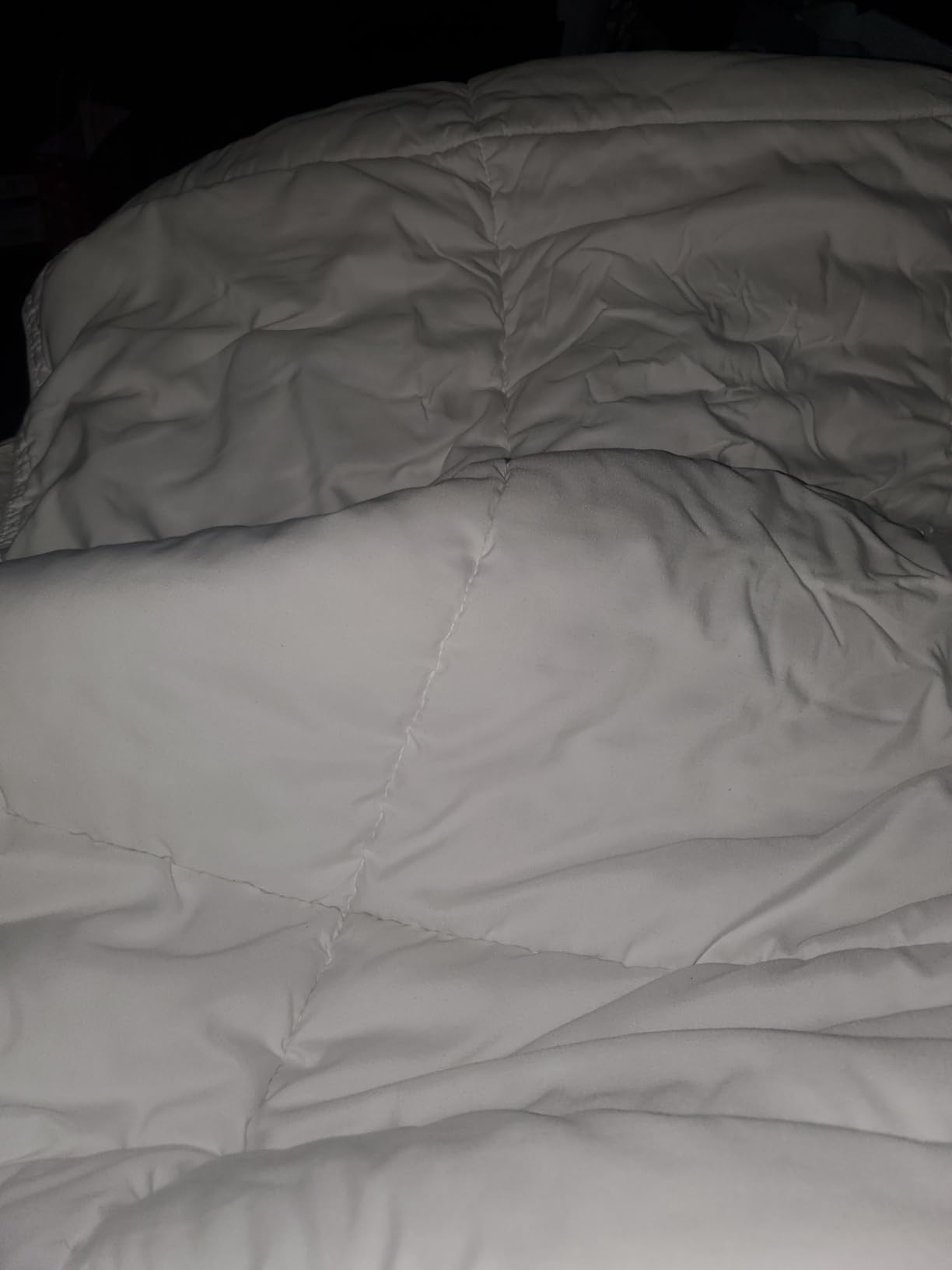 Bare Home Duvet Insert Comforter - Queen Size - Goose Down Alternative - Ultra-Soft - Premium 1800 Series - All Season Warmth - Bedding Comforter (Queen, White) customer photo 2