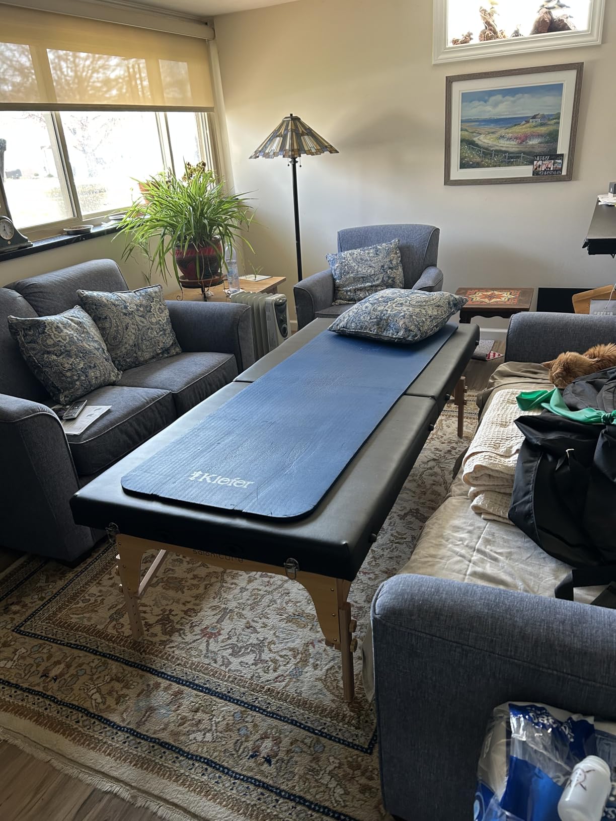 Saloniture Portable Physical Therapy Massage Table - Low to Ground Stretching Treatment Mat Platform - Blue customer photo 1
