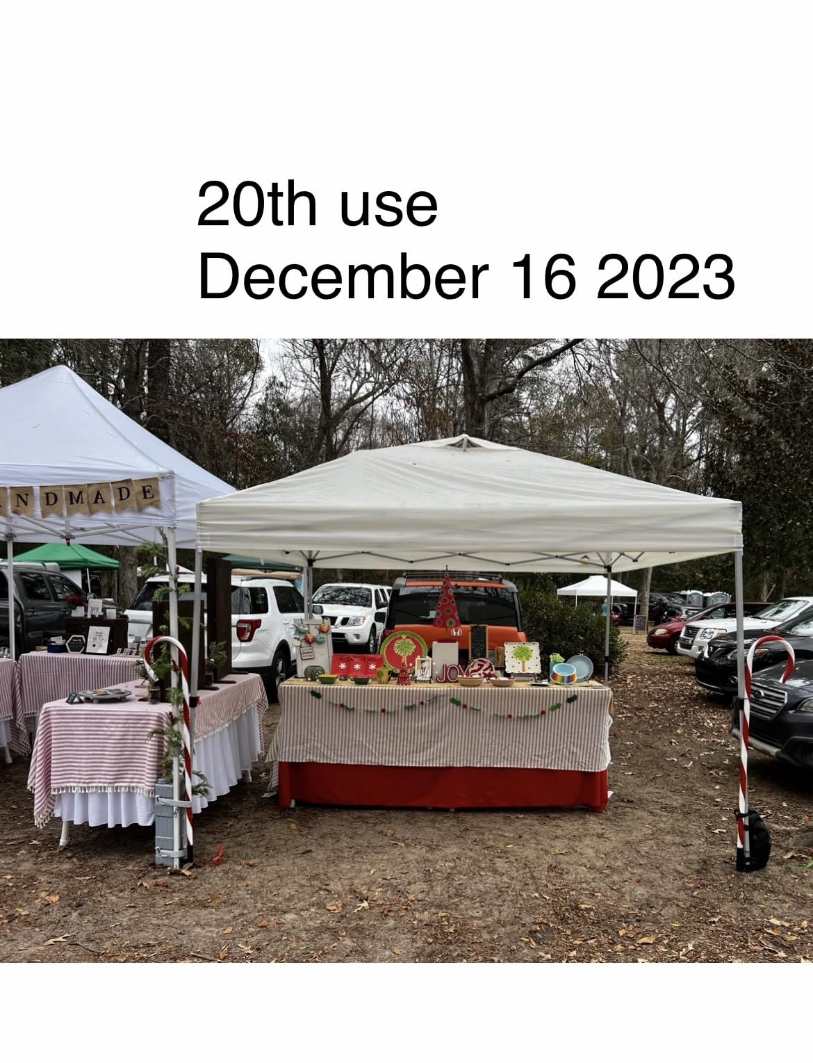CROWN SHADES 10x10 Pop Up Canopy, Patented CenterLok One Push Tent Canopy, Newly Designed STO-N-GO Storage Bag, 8 Stakes, 4 Ropes (10x10, White) customer photo 2
