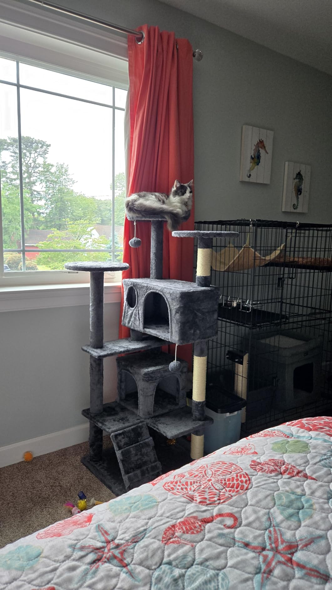 Yaheetech 54in Cat Tree, Multi-Level Cat Tower with Spacious Kitten-ear Perch, 2 Cozy Caves, Scratching Posts, Climbing Ladder, 2 Plush Balls, Durable Pet House Furniture for Indoor Kittens, Dark Gray customer photo 1